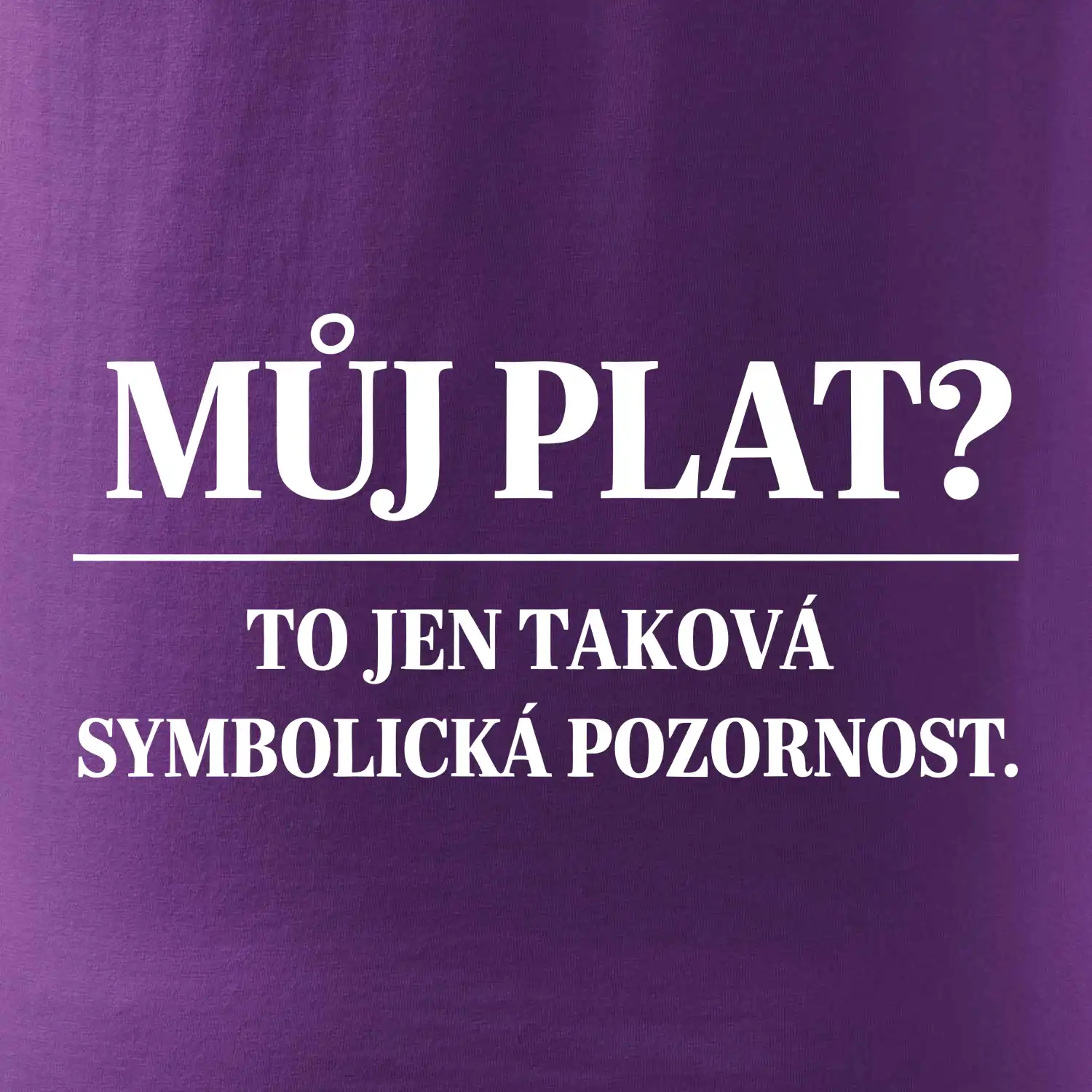 Můj plat? to jen taková symbolická pozornost