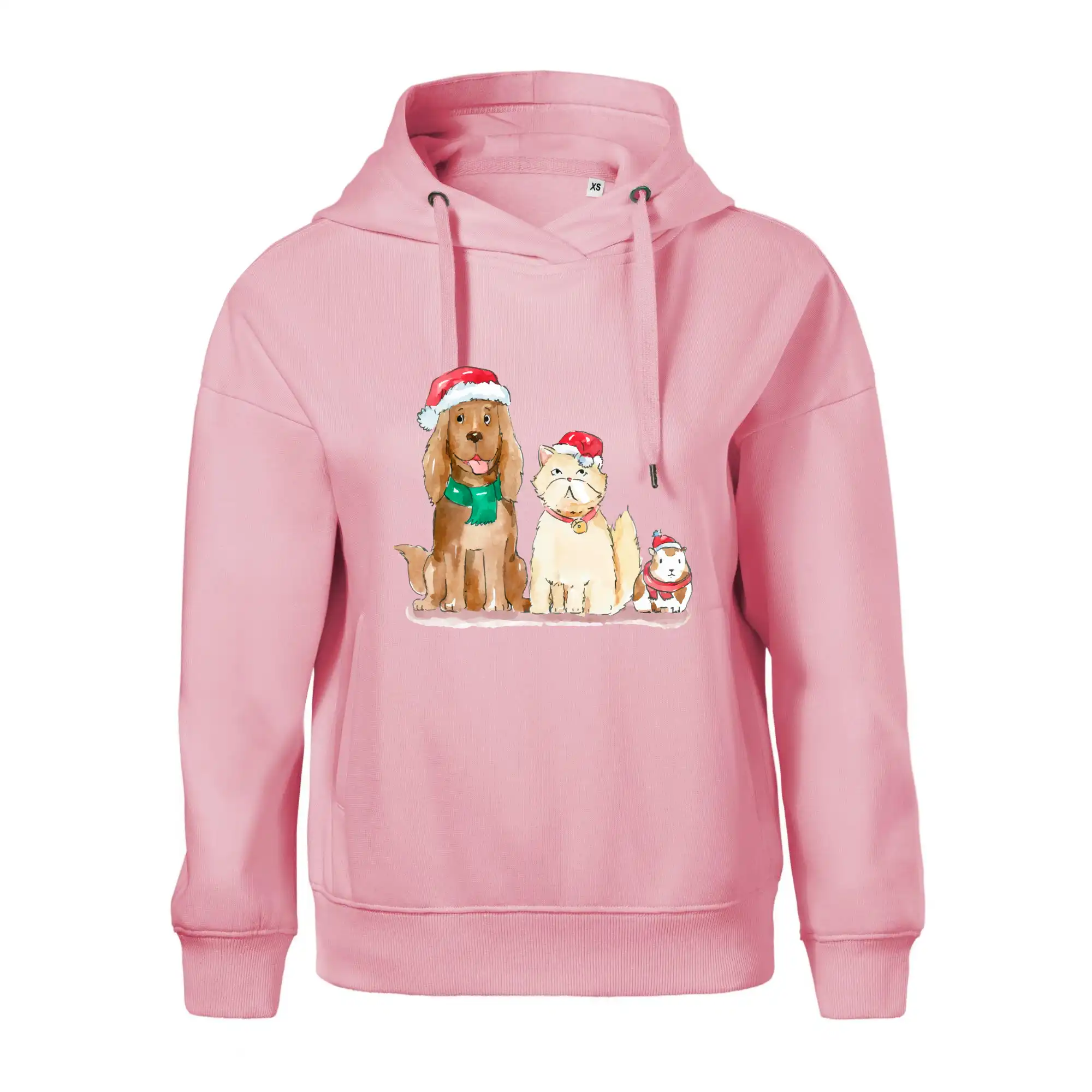 Veselé vánoce - pes, křeček a kočka