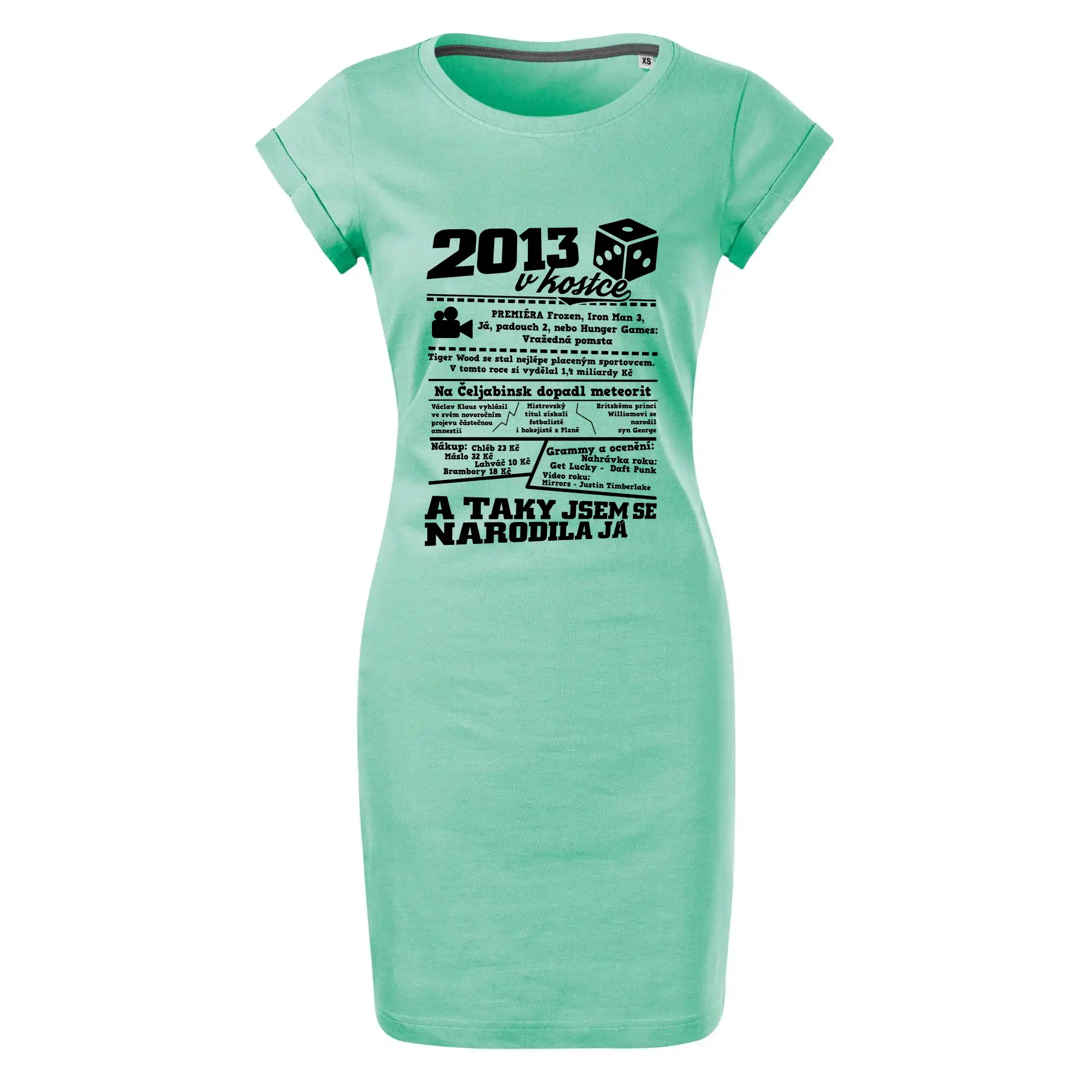 2013 v kostce