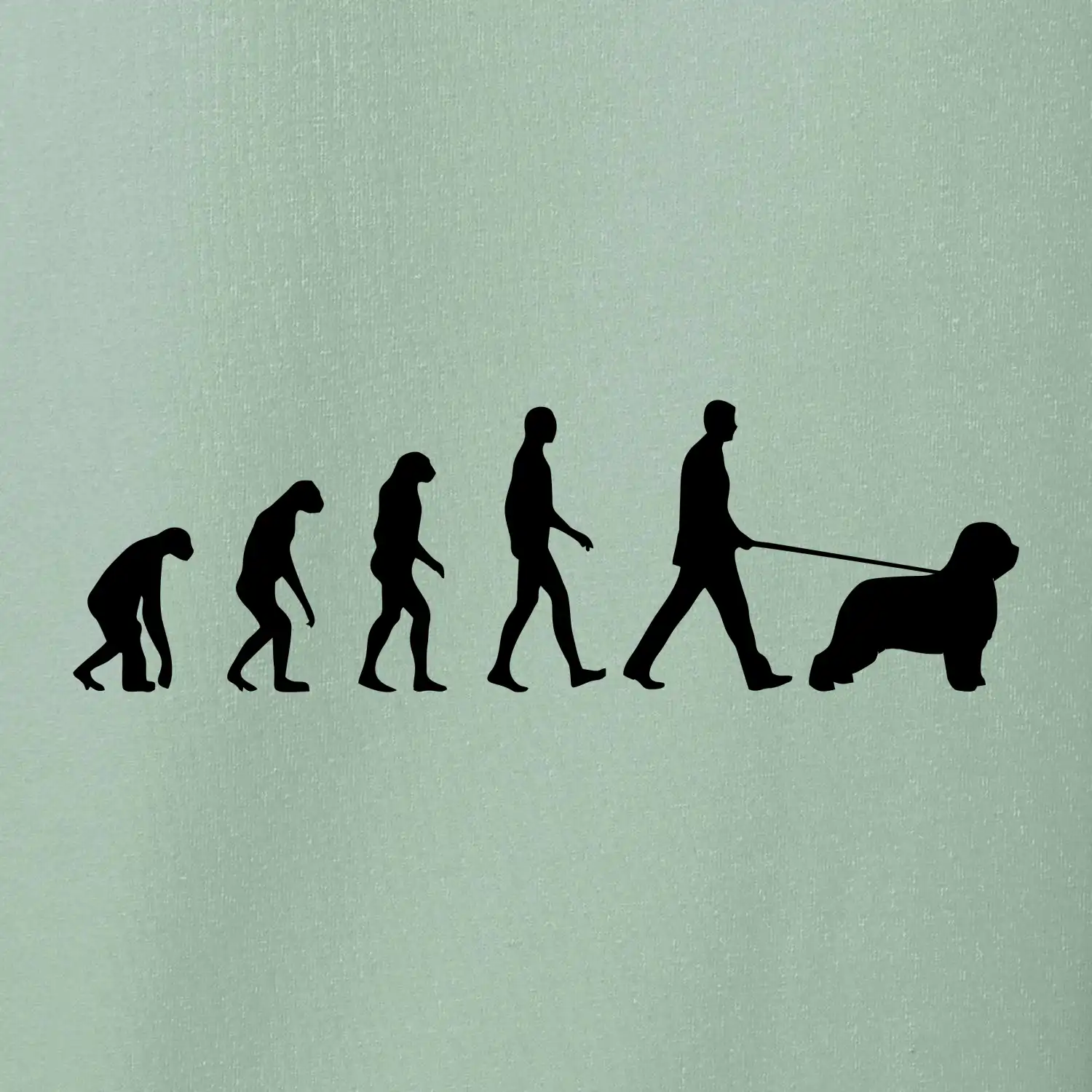 Evoluce pes Briard