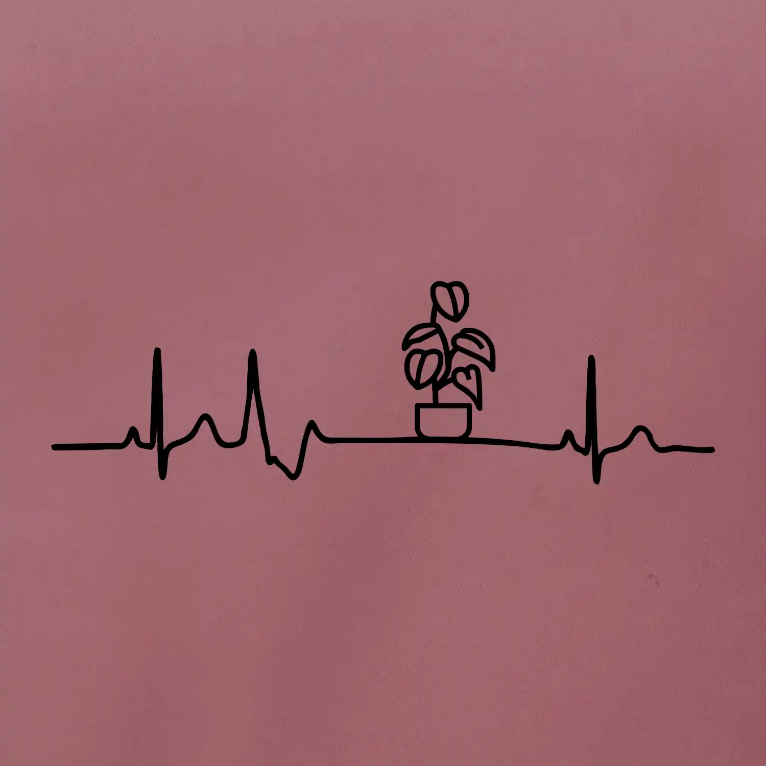 EKG Filodendron