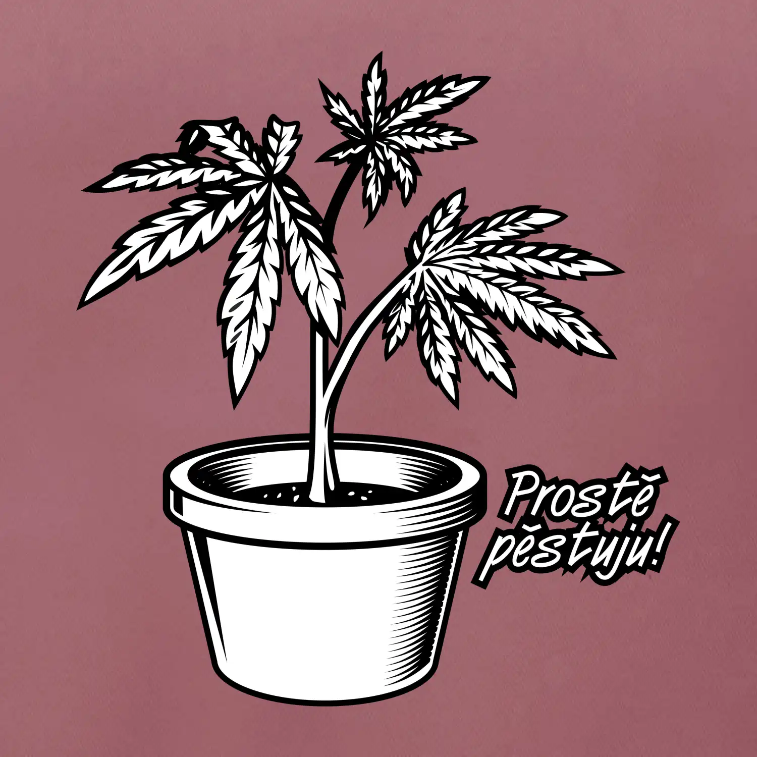 Konopi prostě pěstuju