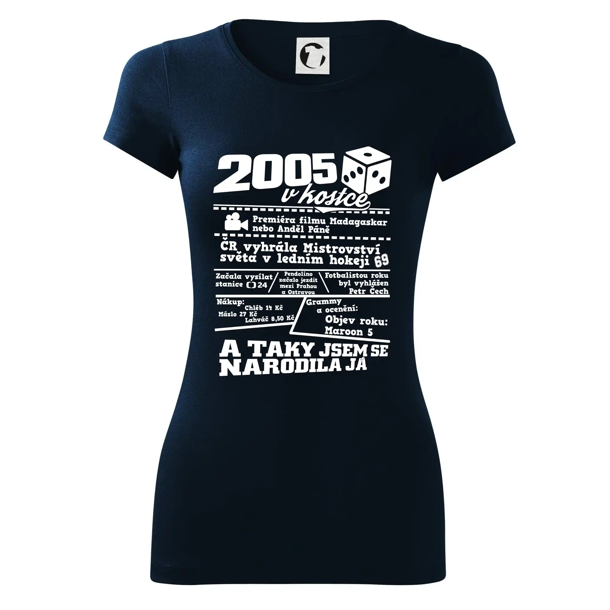 2005 v kostce