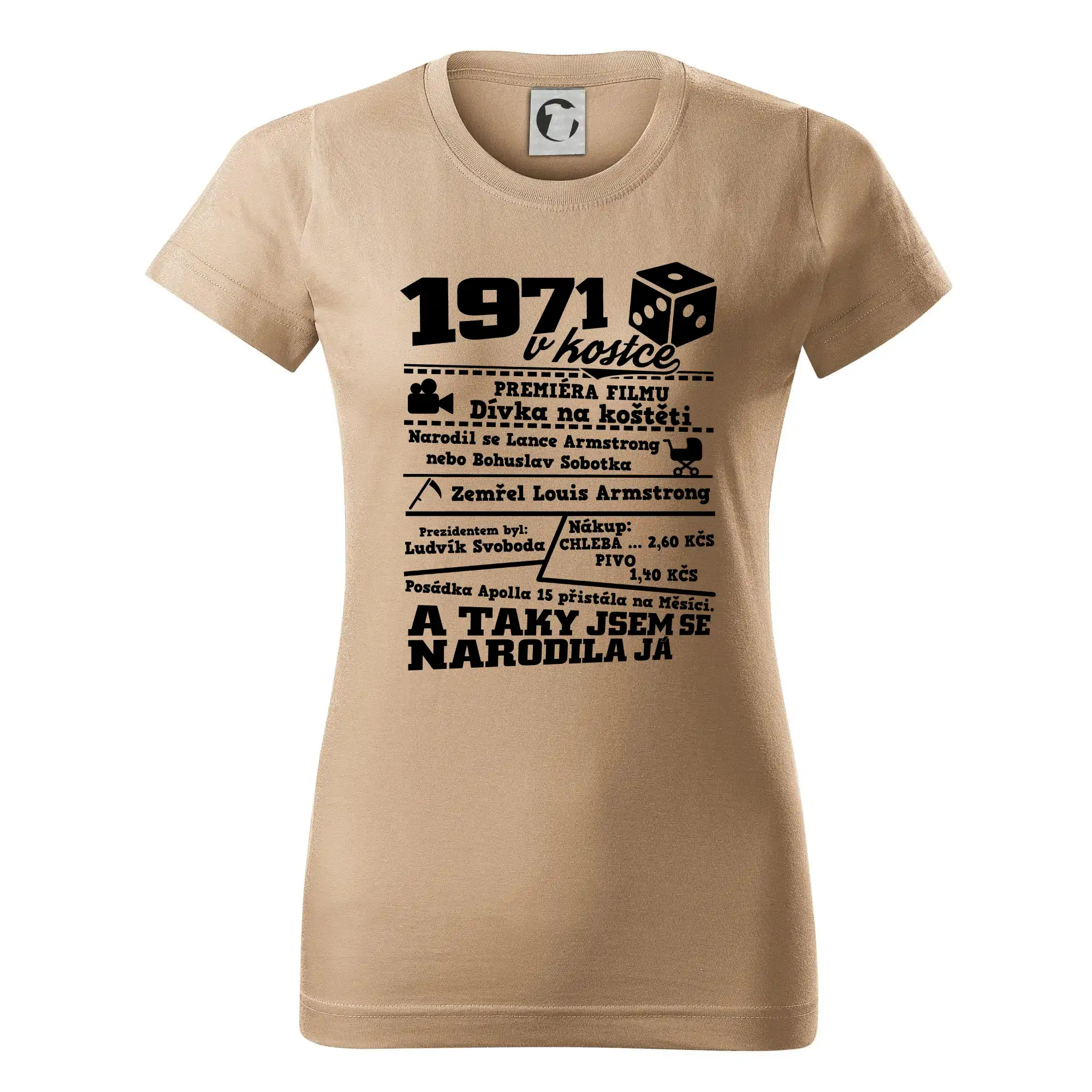 1971 v kostce