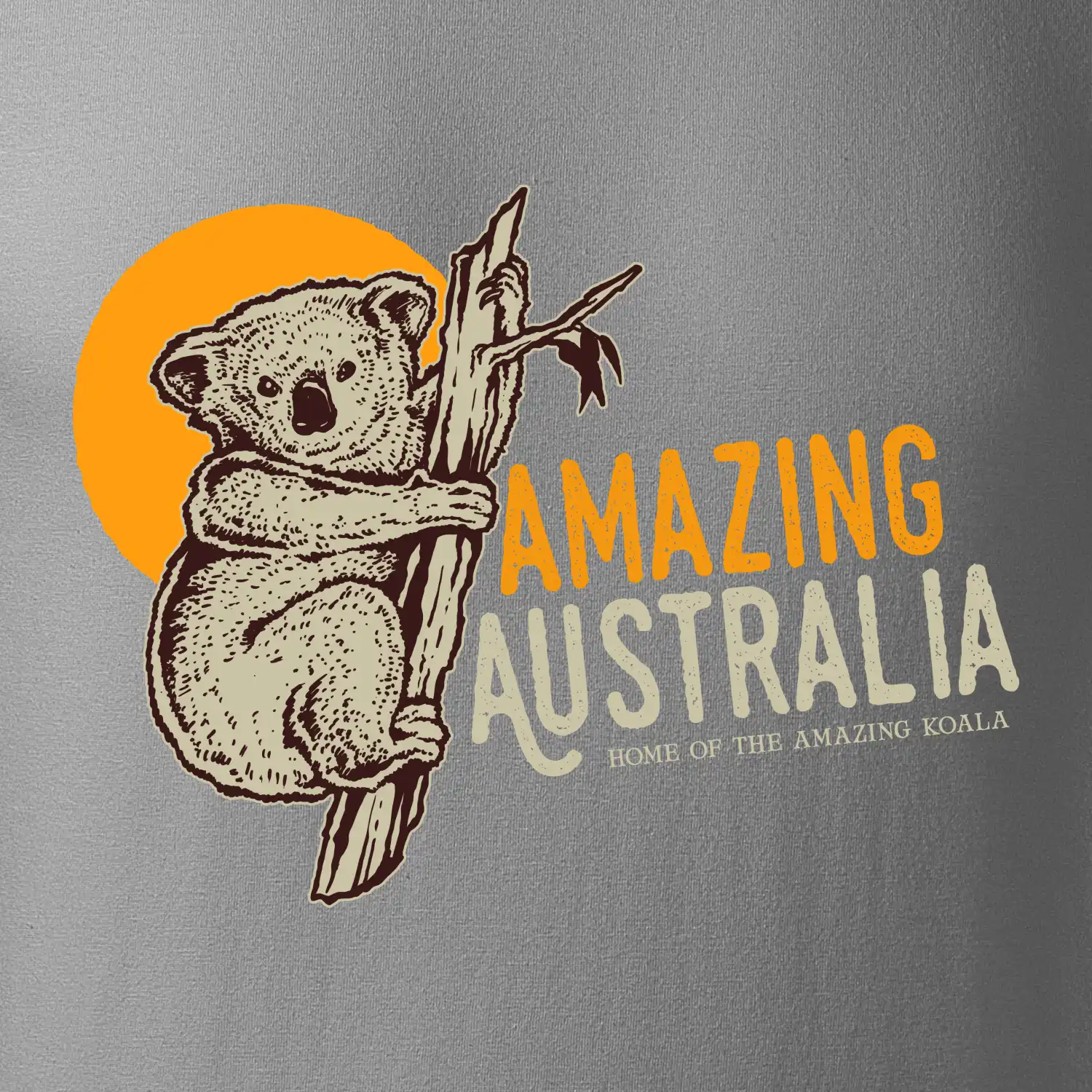 Amazing Australia koala