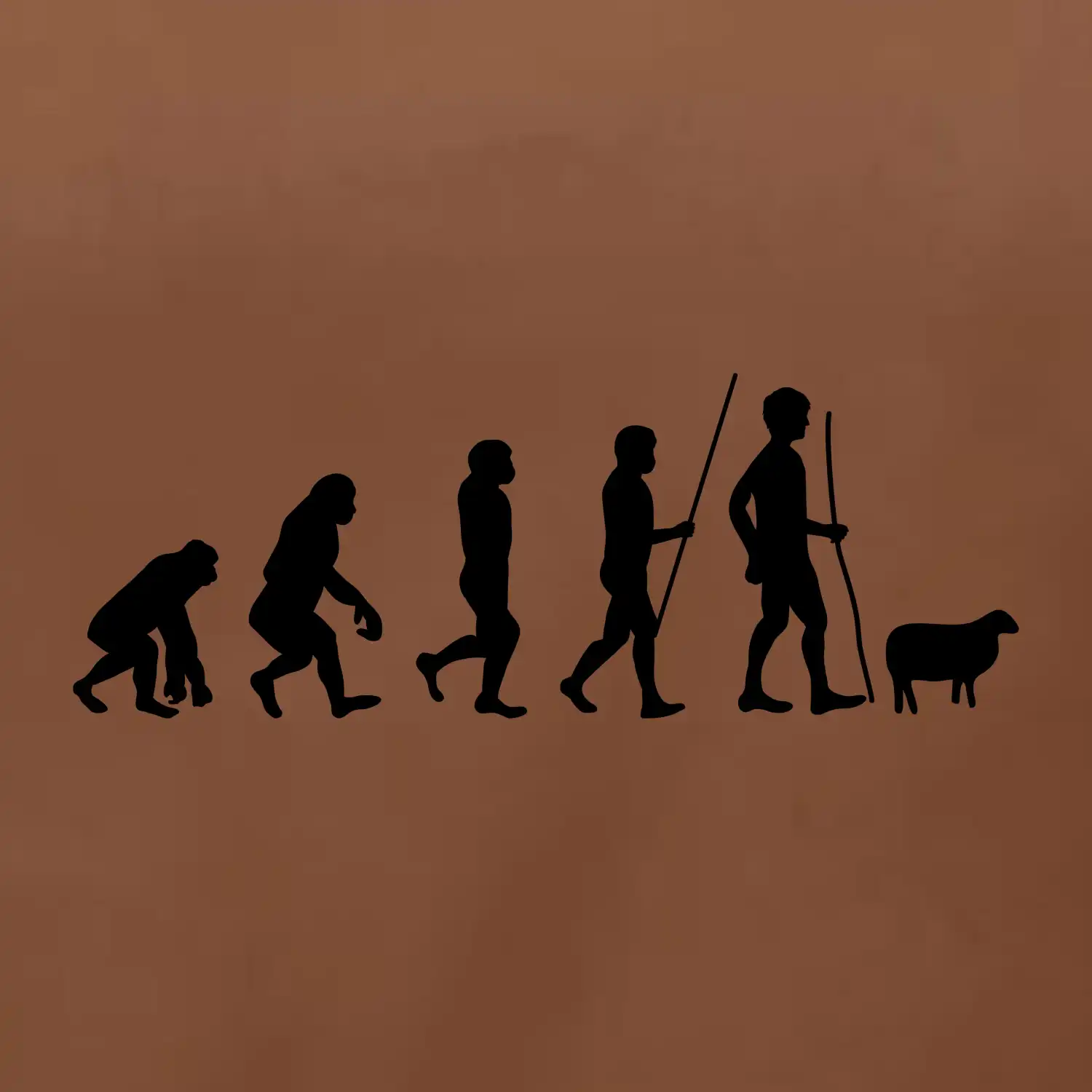 Evoluce pastevec ovcí
