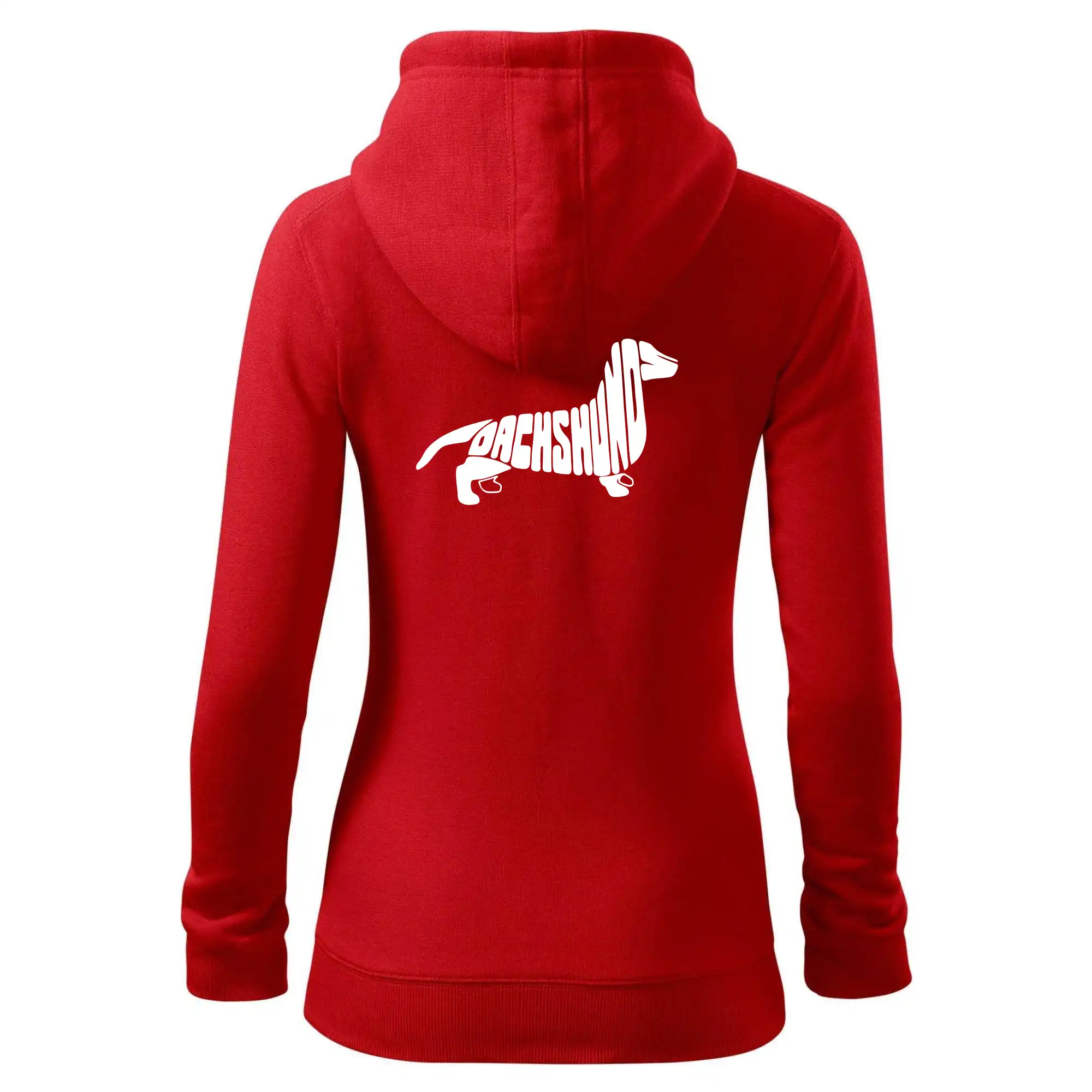 Jezevčík - Dachshund
