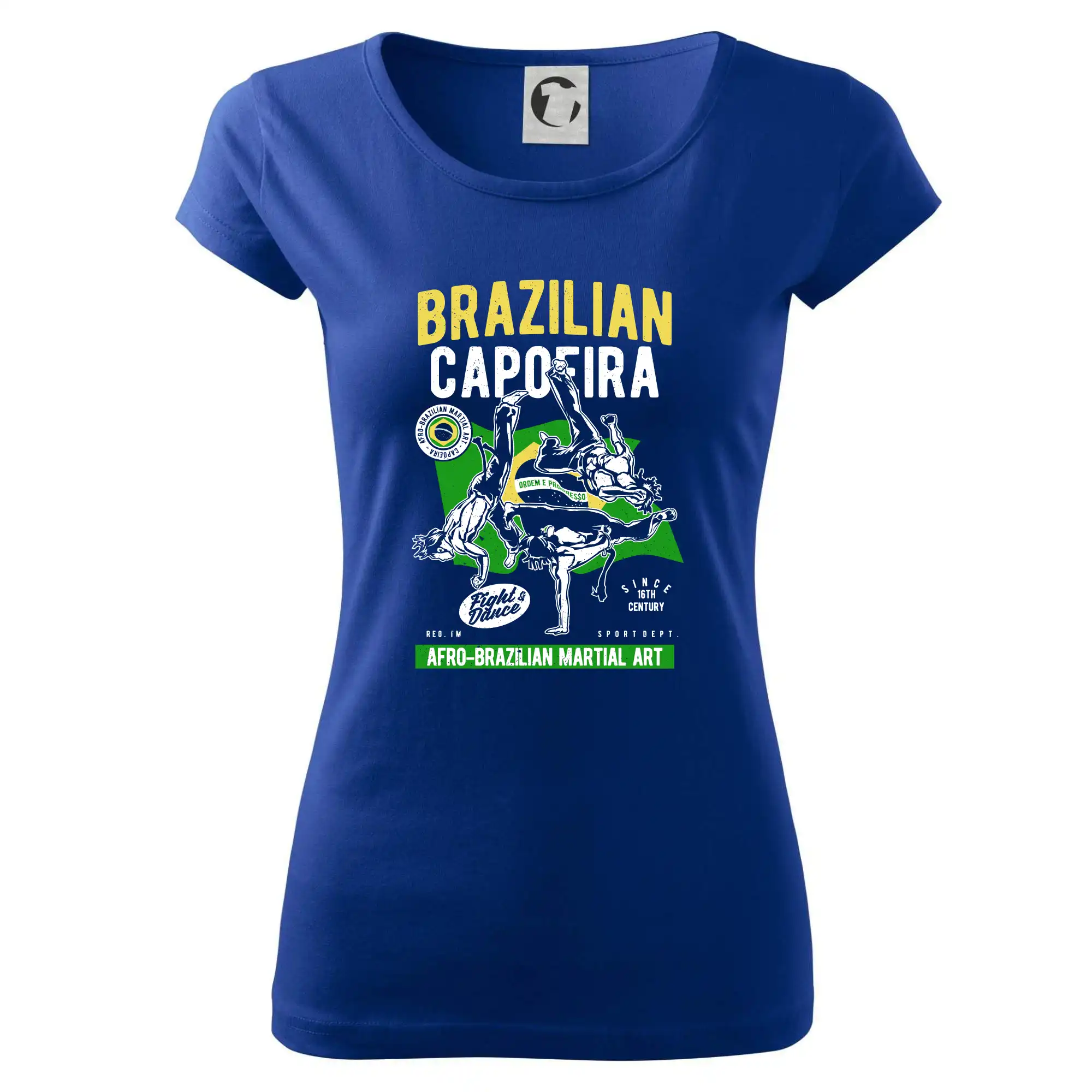 Brazilian Capoeira