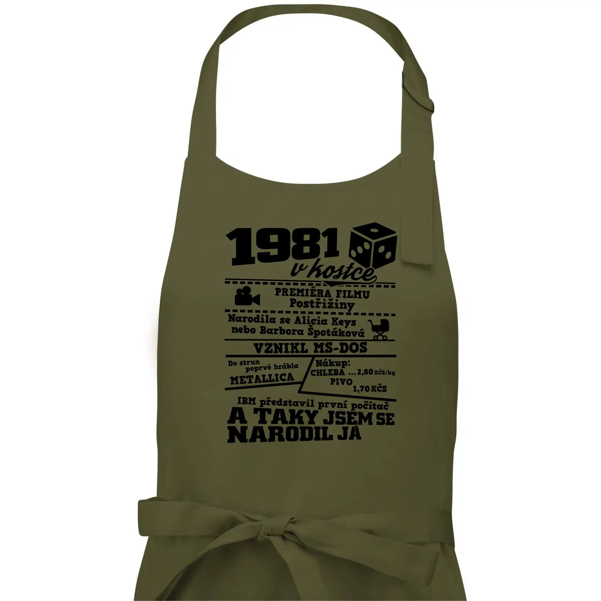 1981 v kostce