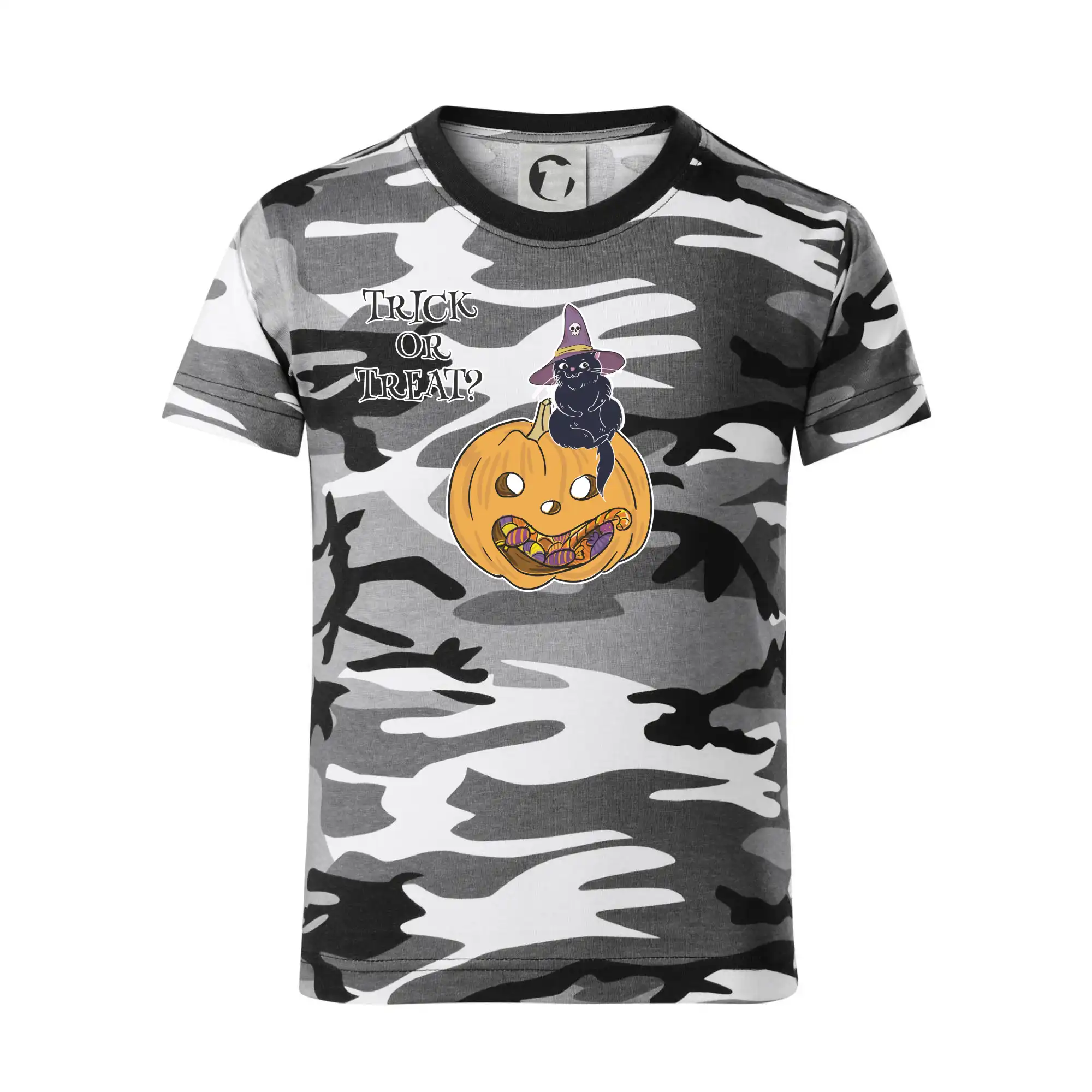Dýně a kočka