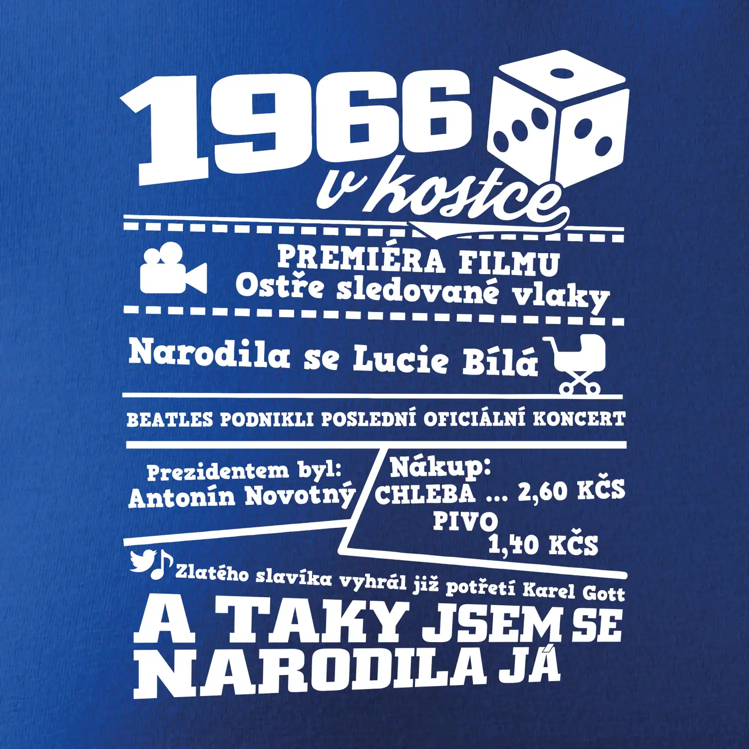 1966 v kostce
