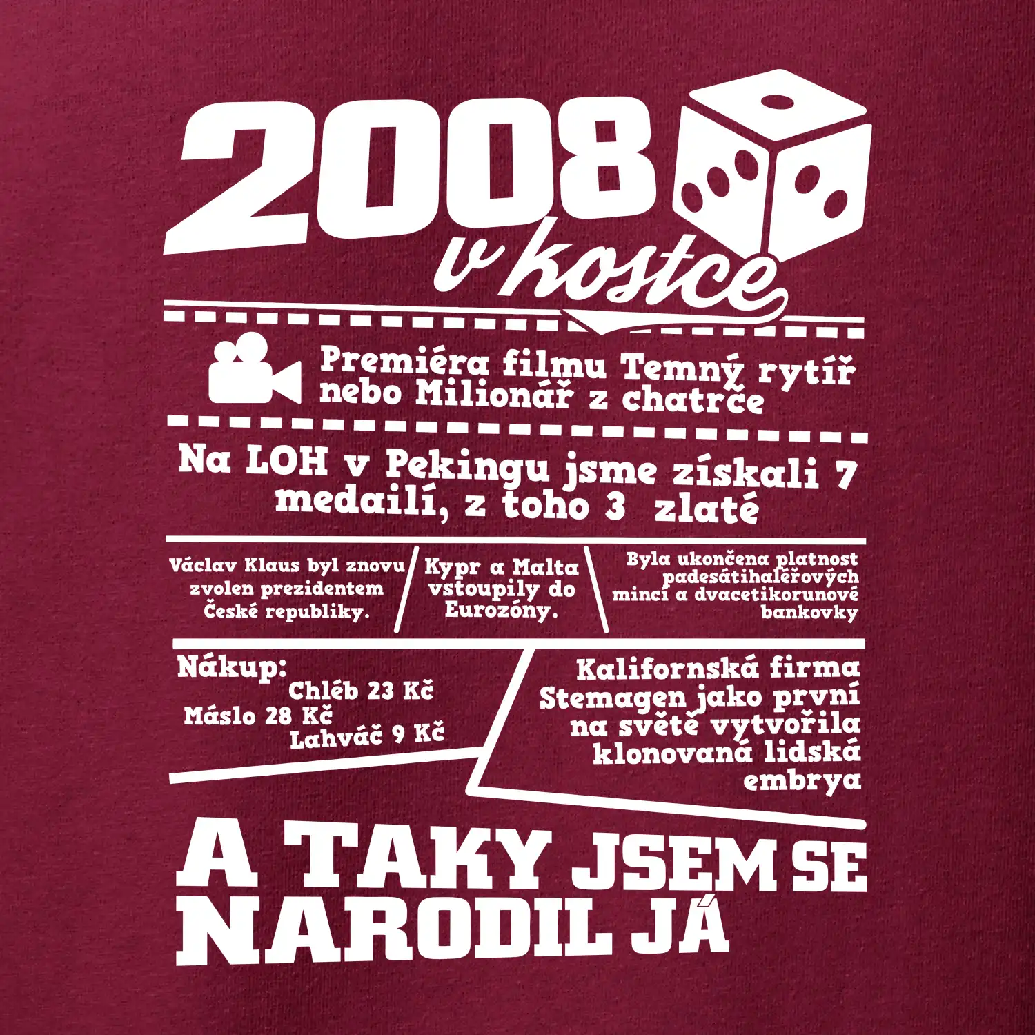 2008 v kostce