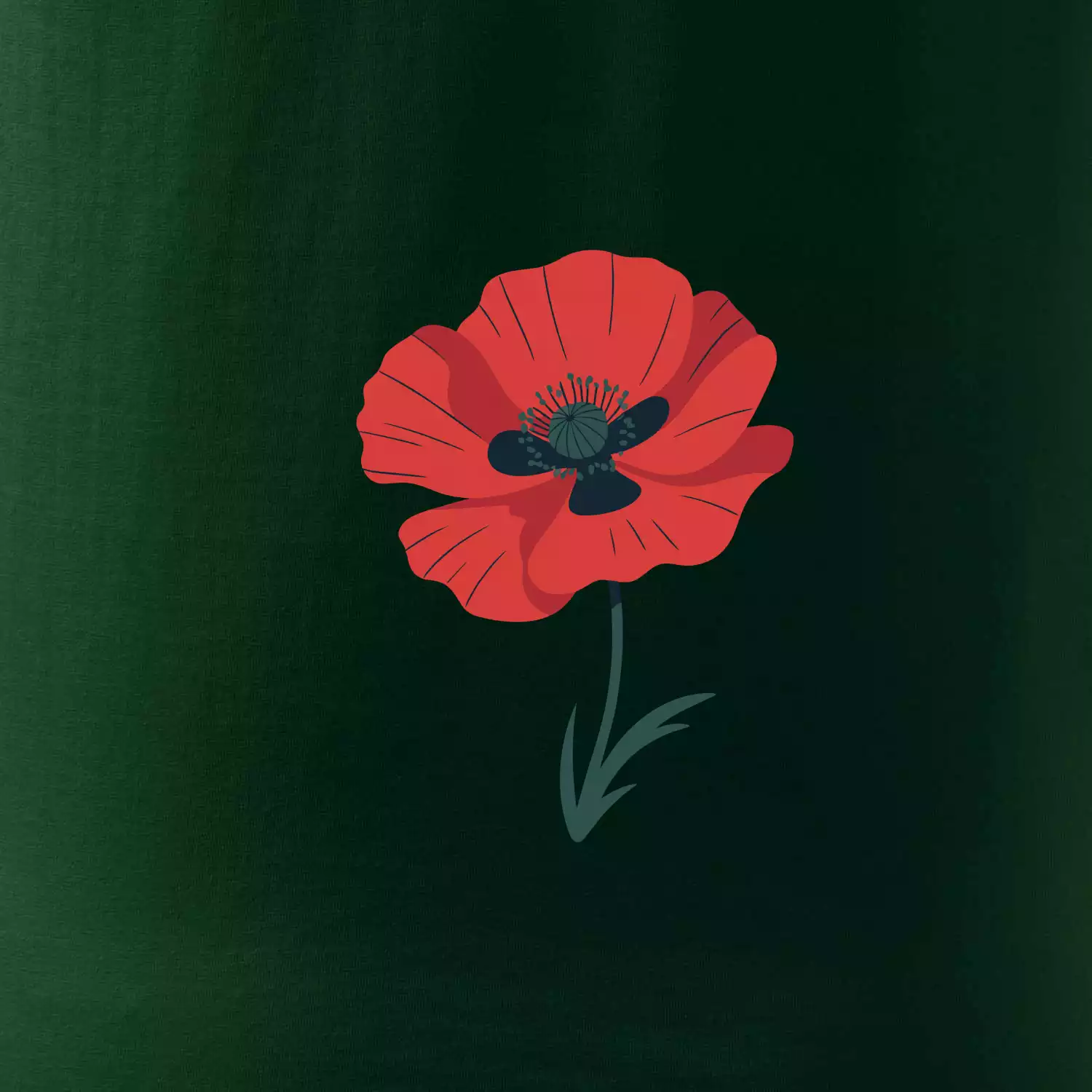 Vlčí mák kreslený velký