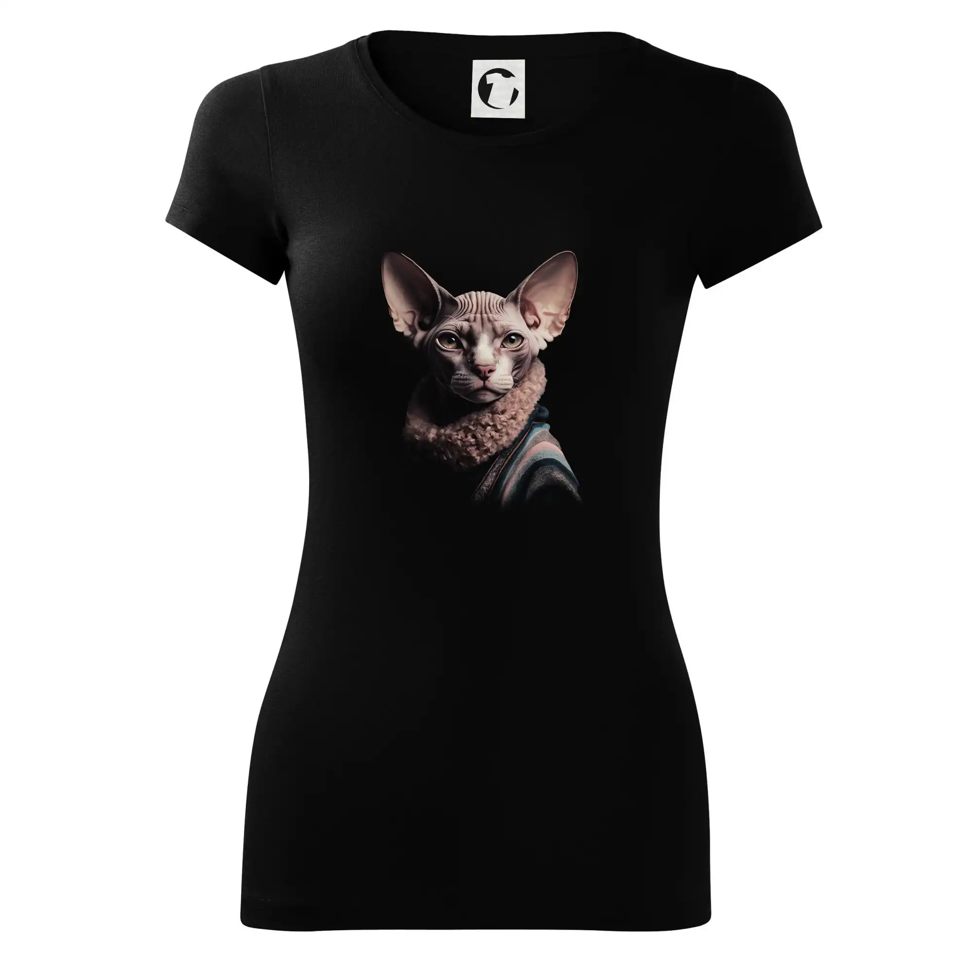 Kočka sphynx s límcem