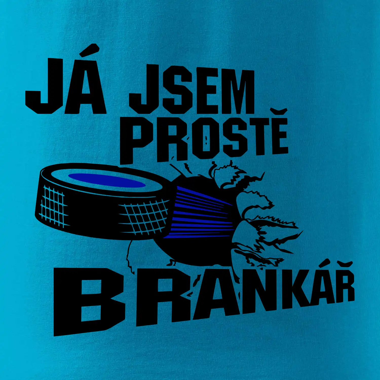Ja jsem prostě brankář (hokej)