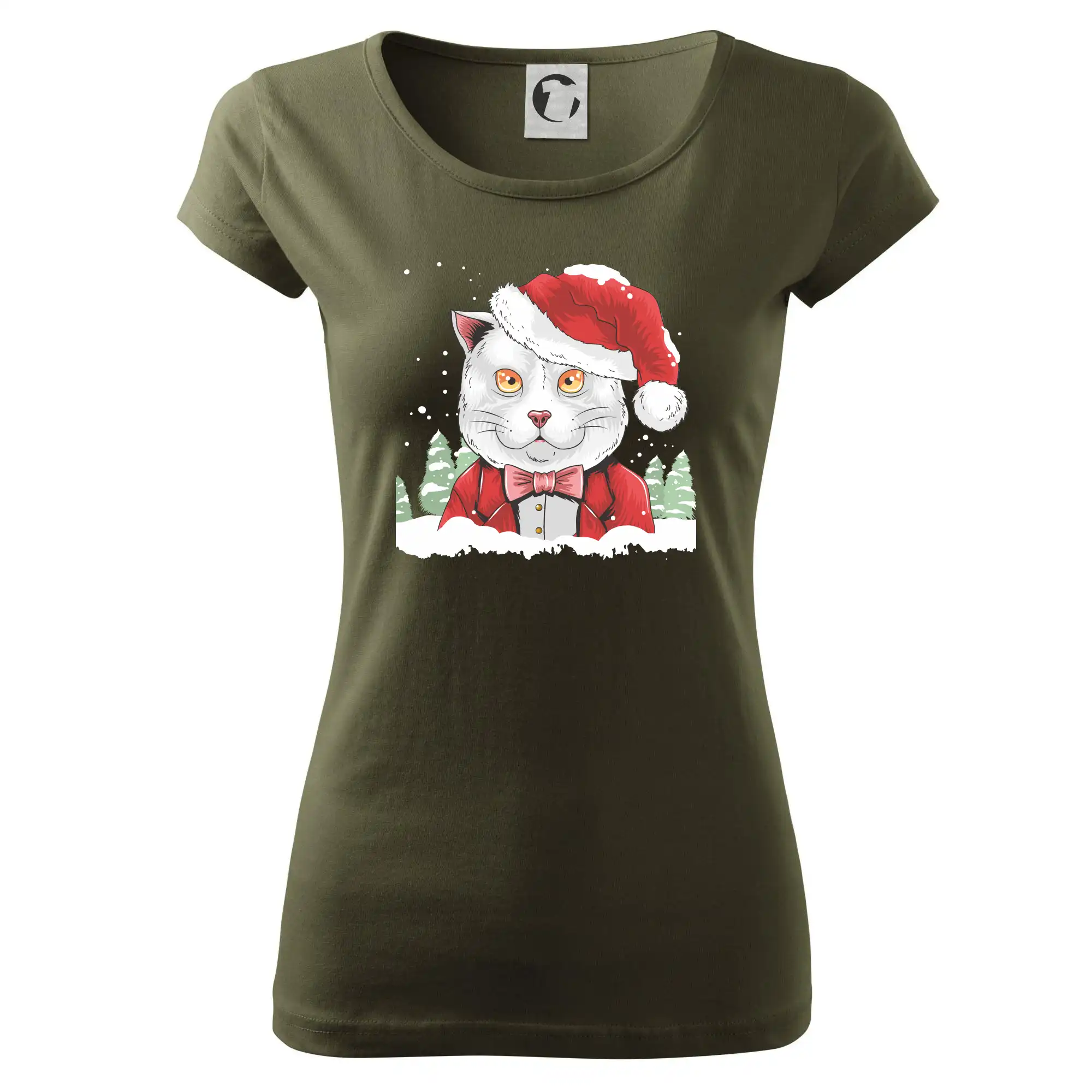 Santa kocour