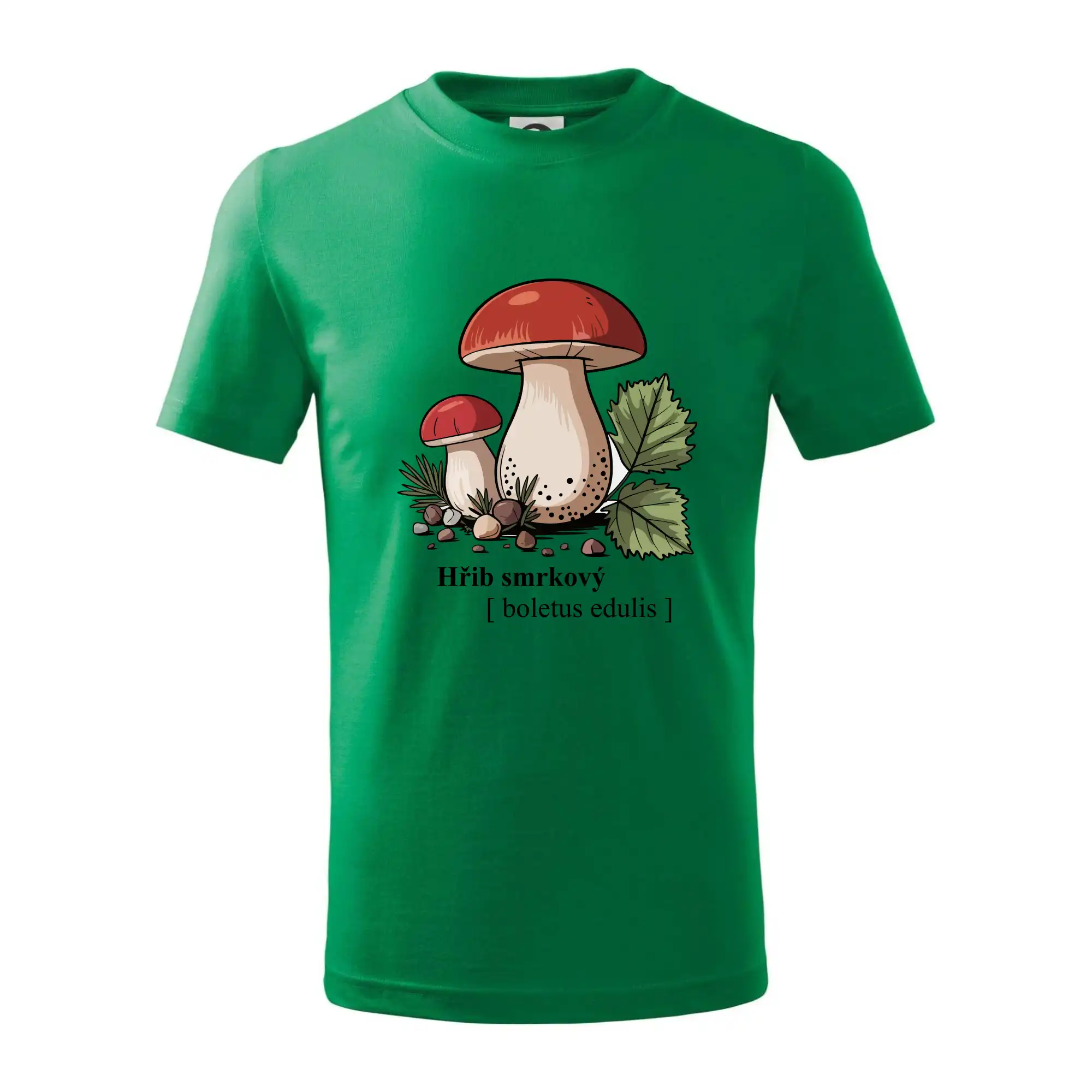 Hřib smrkový - Boletus edulis kreslený