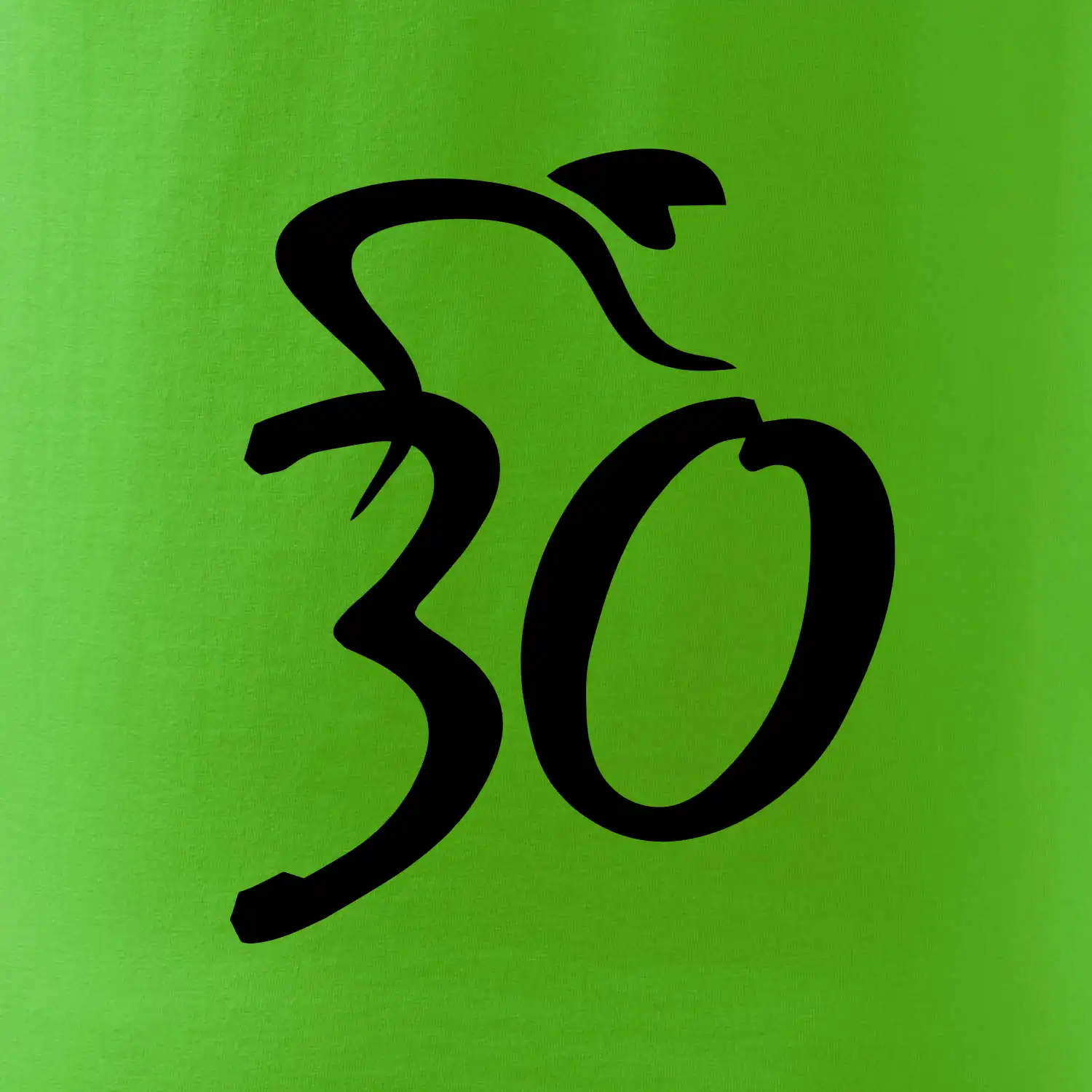 Cyklista slaví třicítku (30)