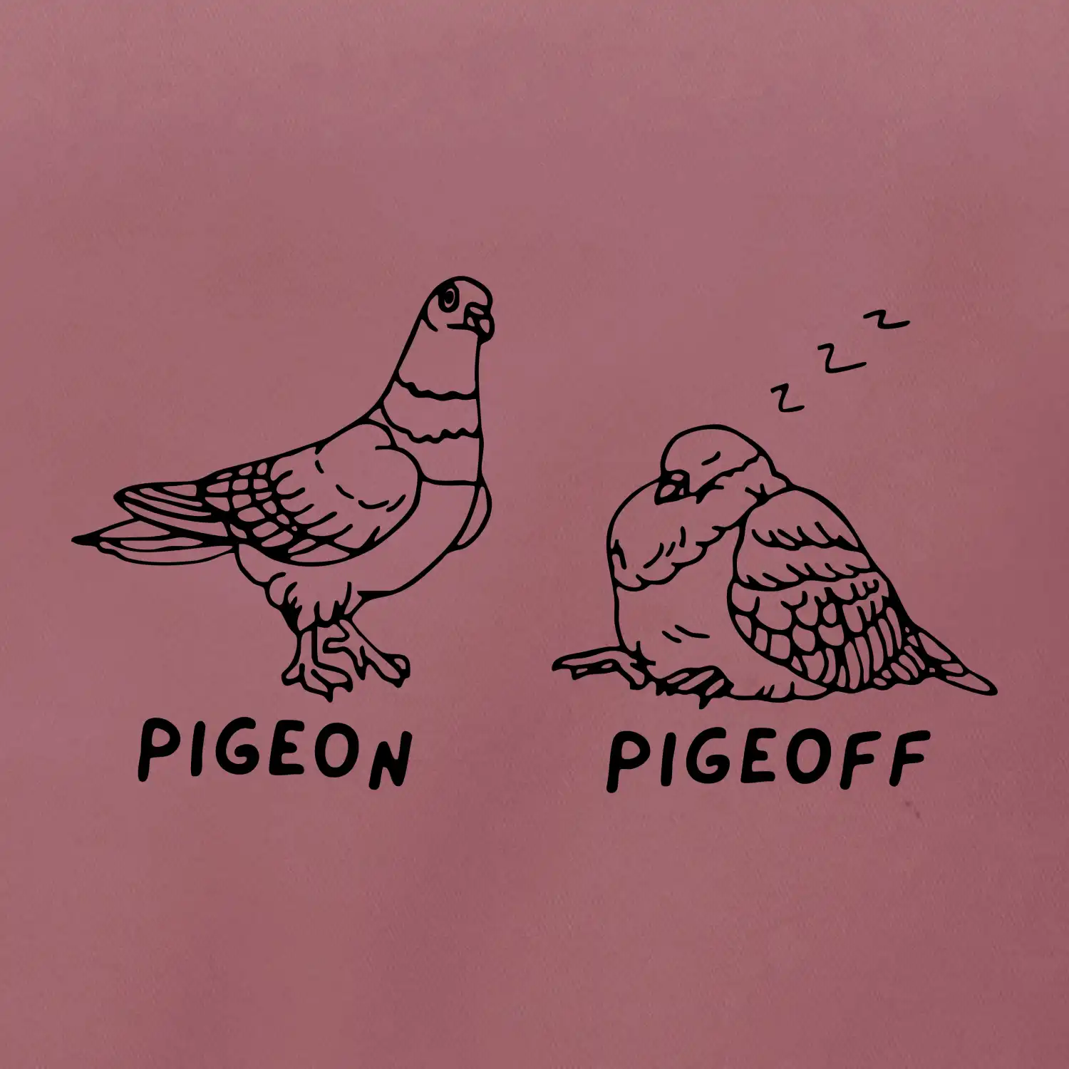 Pigeon pigeoff