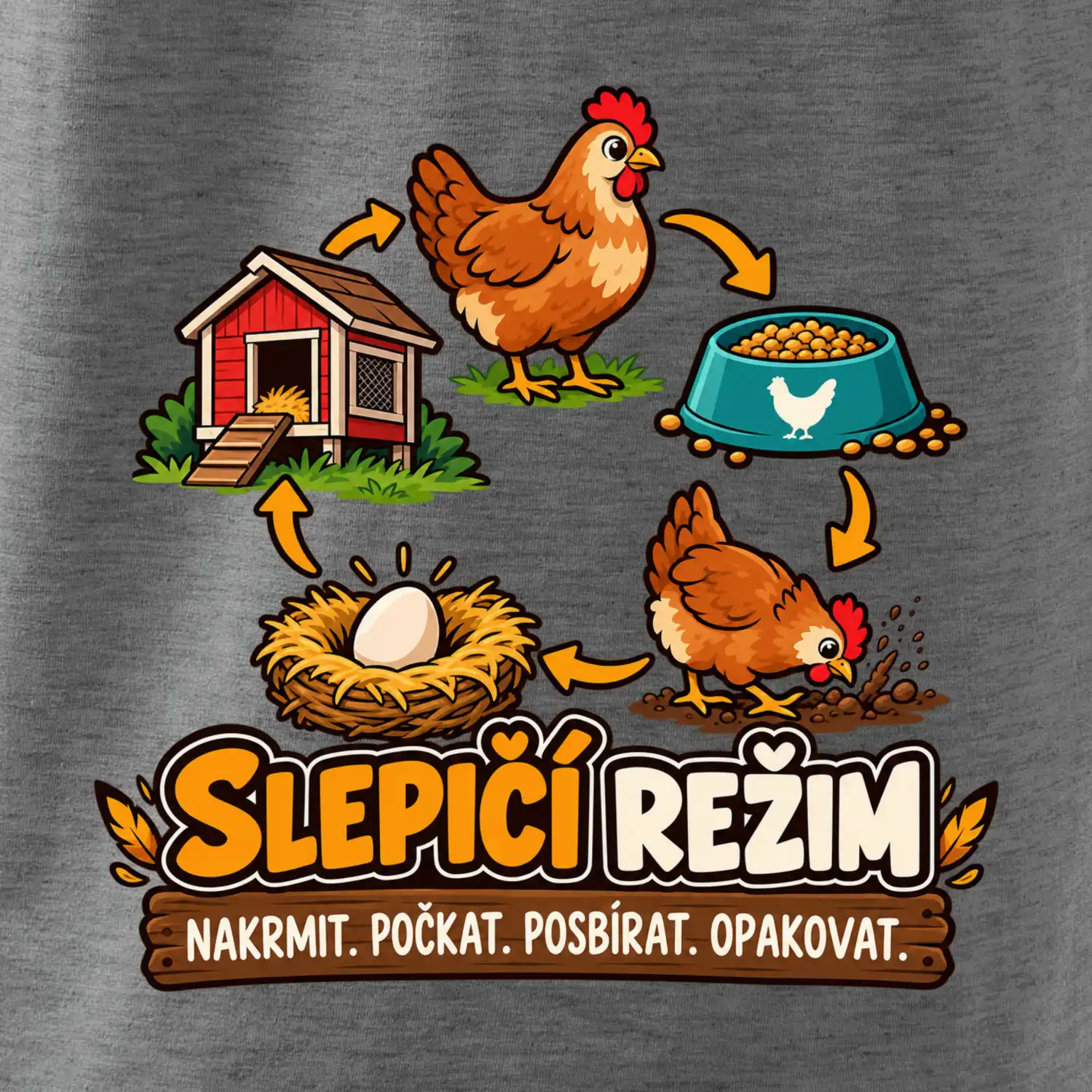 Slepičí režim od krmení po sběr vajec