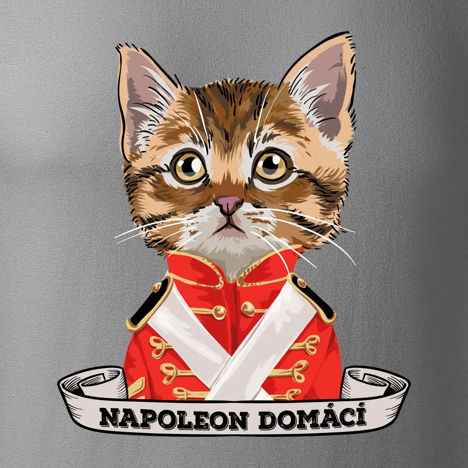 Napoleon domácí kočka