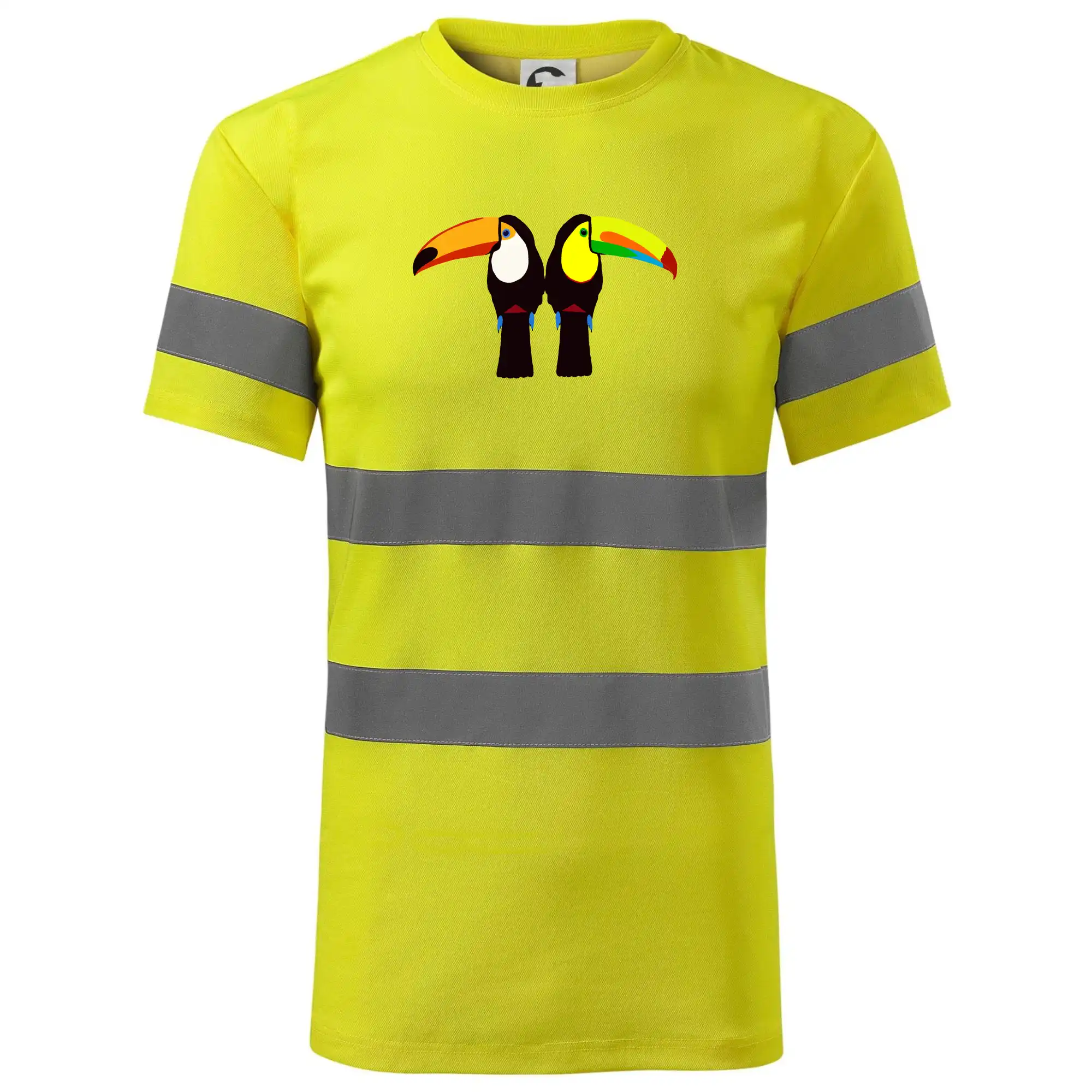 Dva barevní tukani (Moňas)