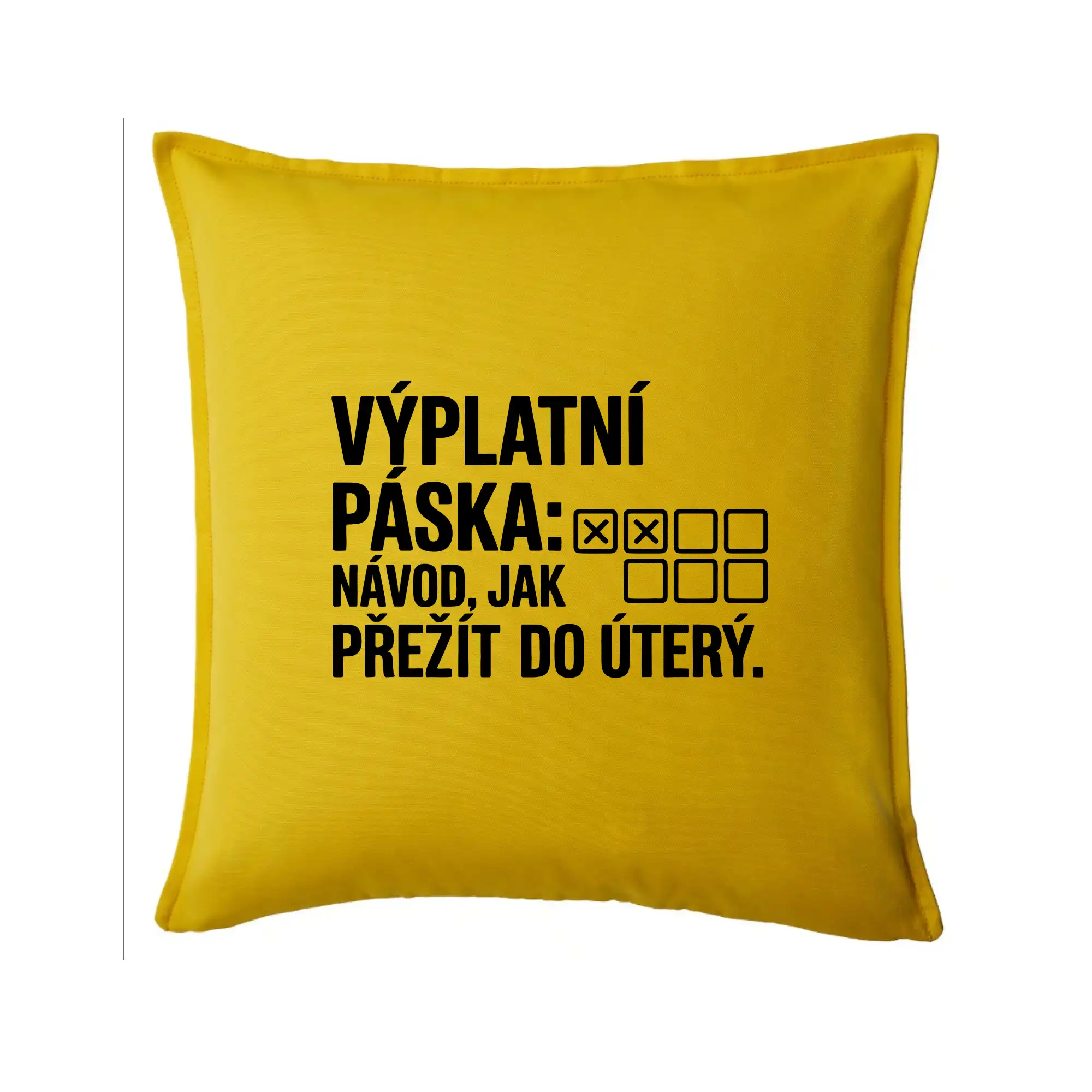 VÝPLATNÍ PÁSKA: Návod, jak přežít do úterý