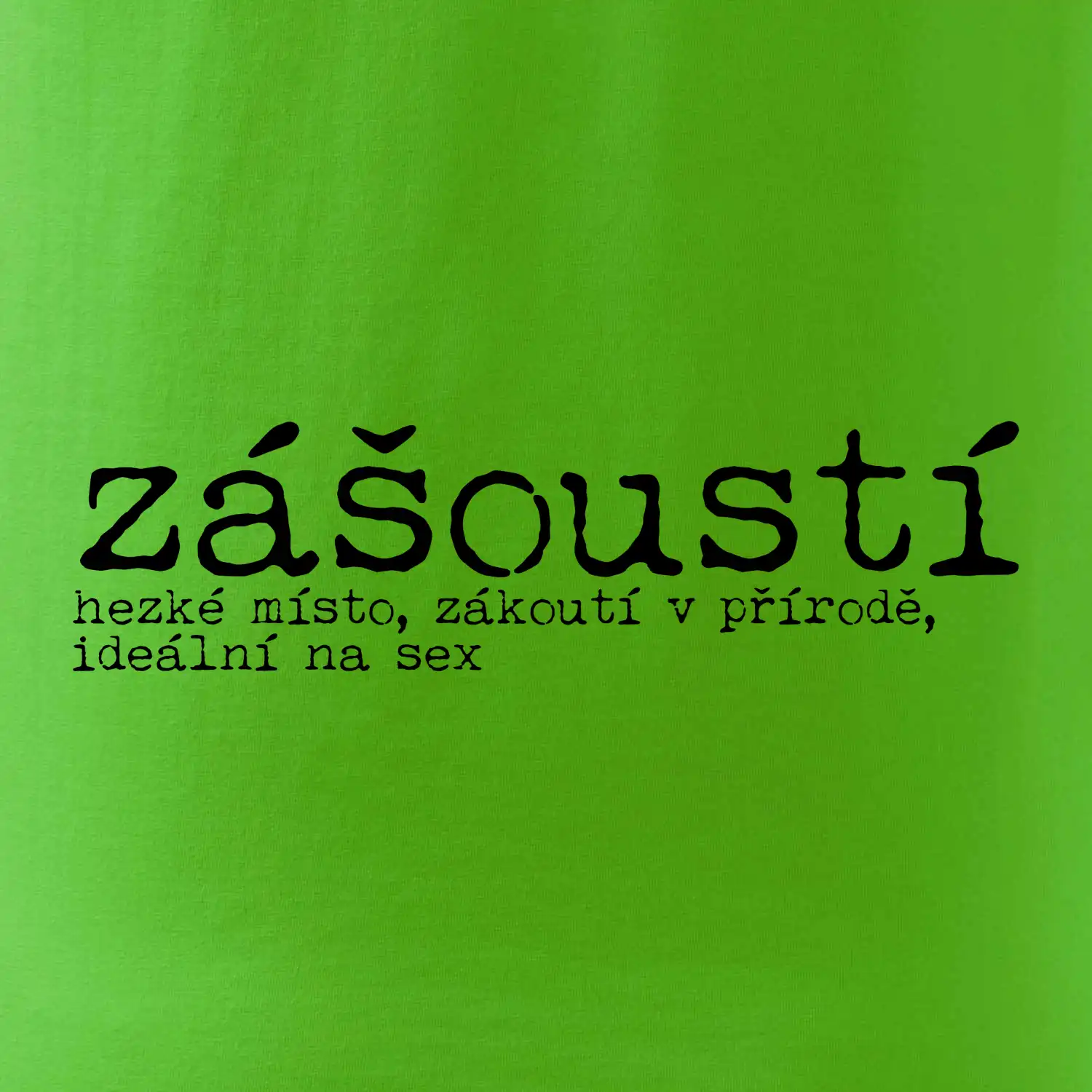 Čeština 2.0 - zášoustí