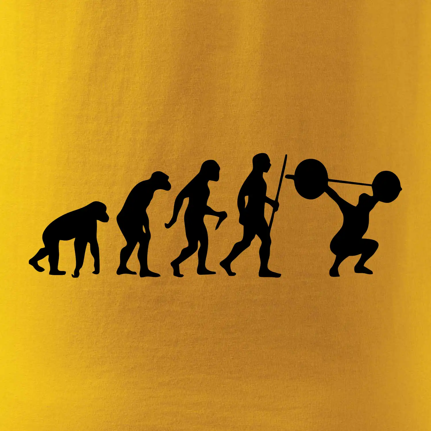 Evolution fitness