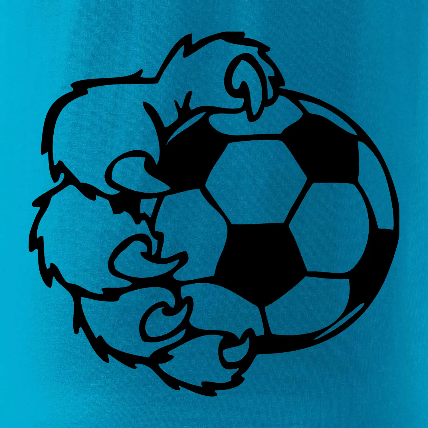 Medvědí tlapa fotbal