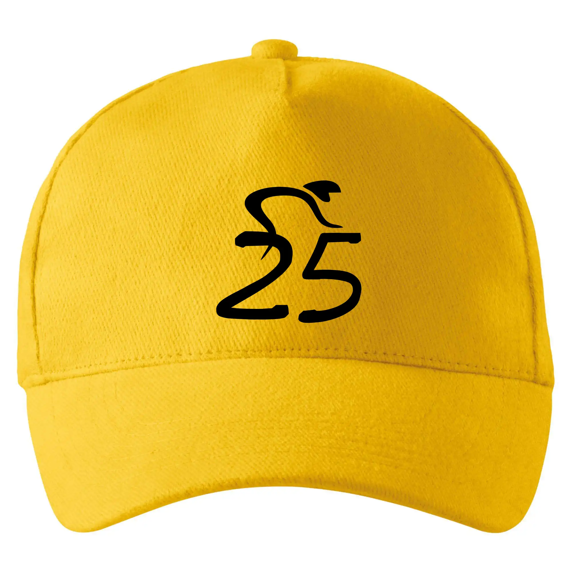 Cyklista slaví pětadvacítku (25)