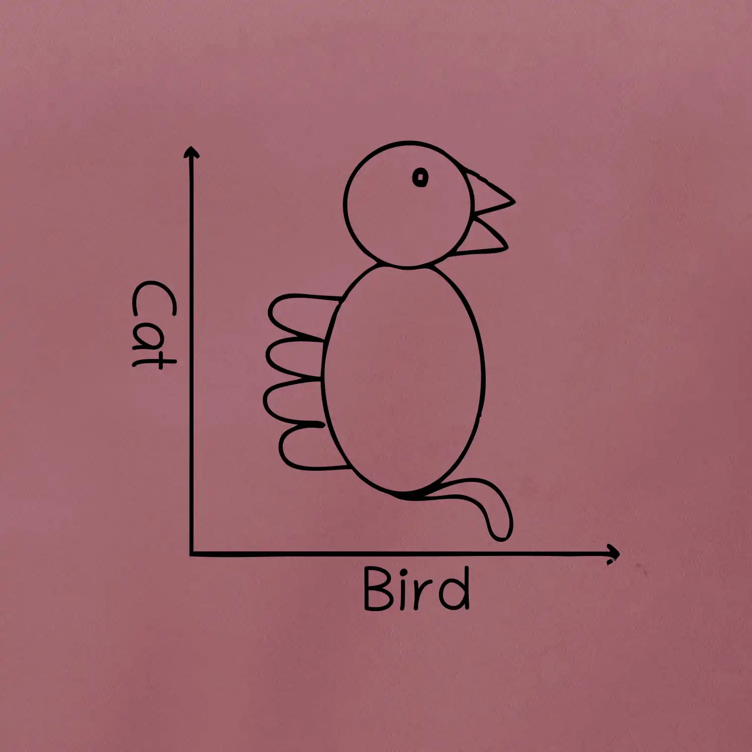 Cat bird diagram
