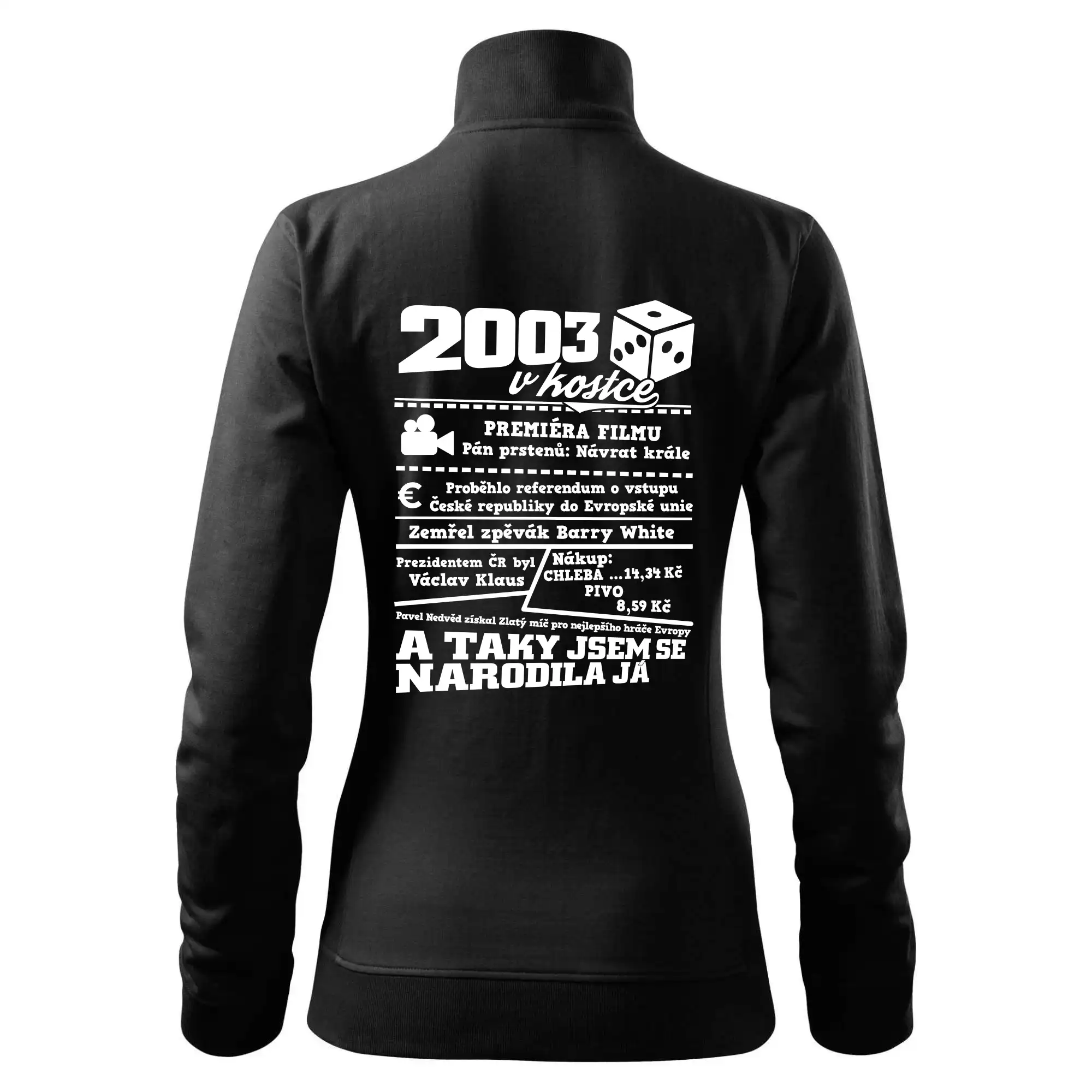 2003 v kostce