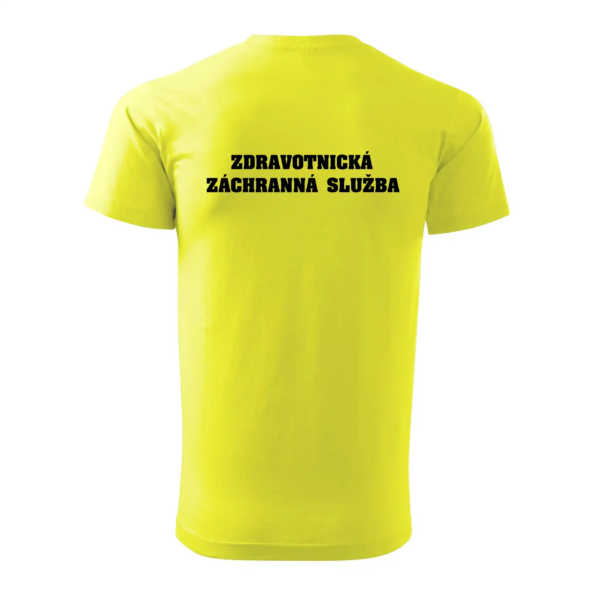 Hvězda života - zdravotnická záchranná služba