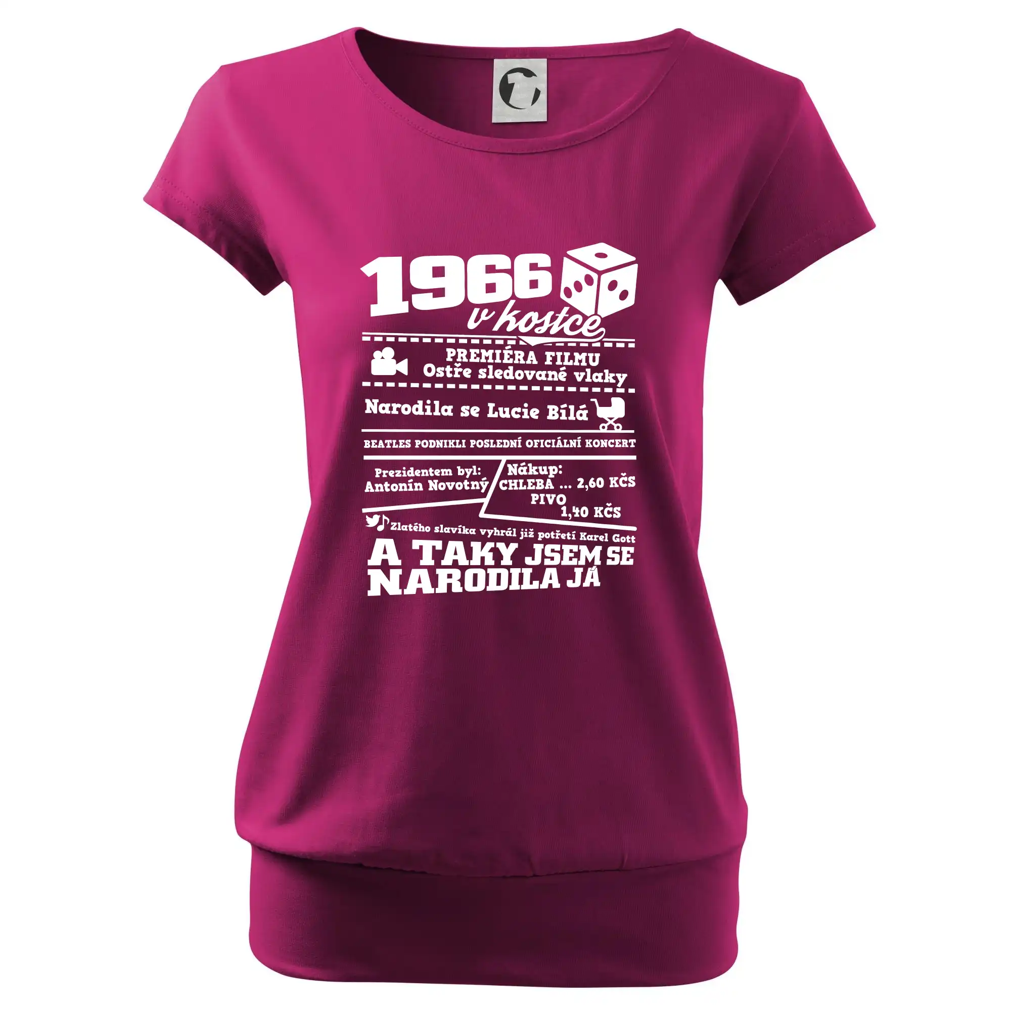 1966 v kostce