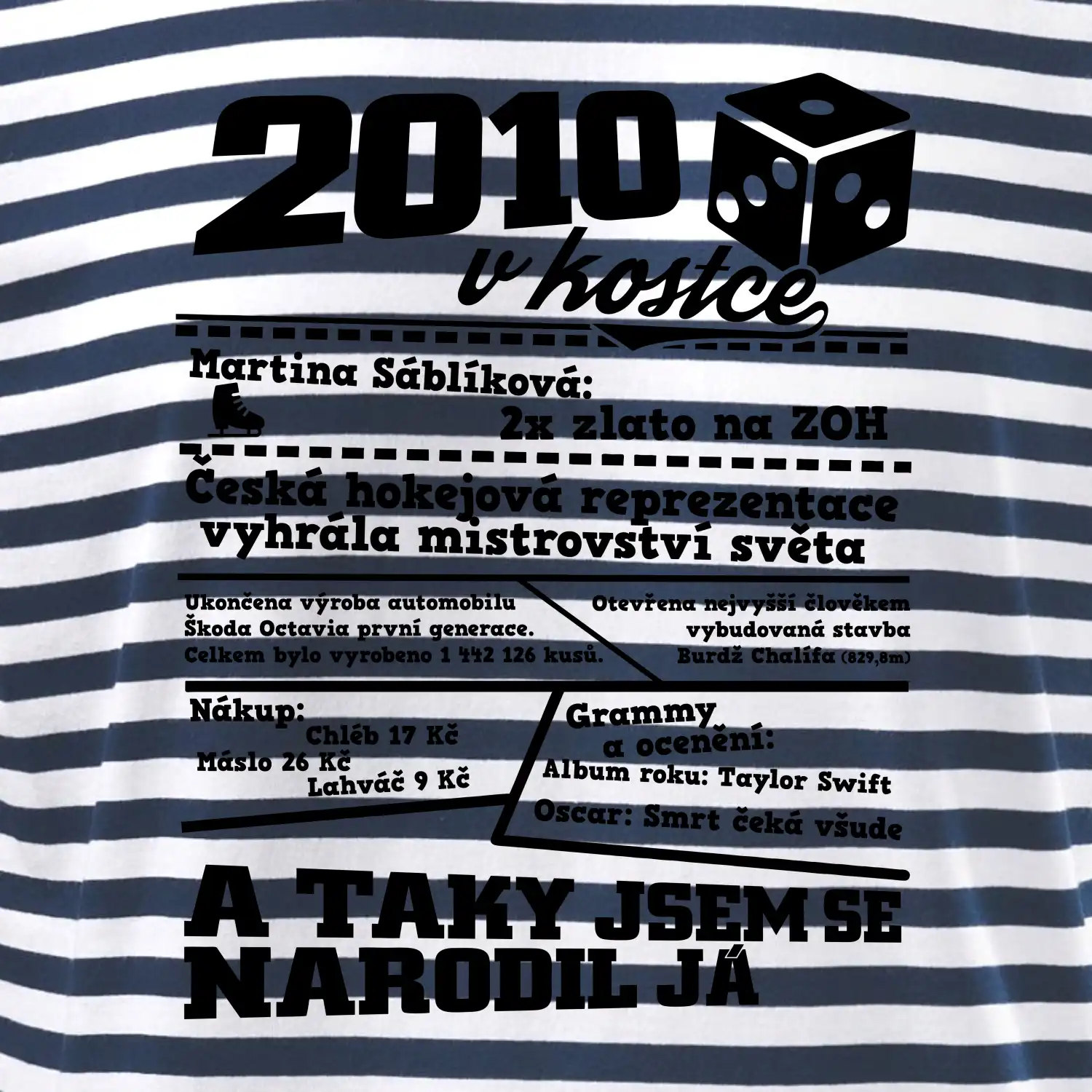2010 v kostce