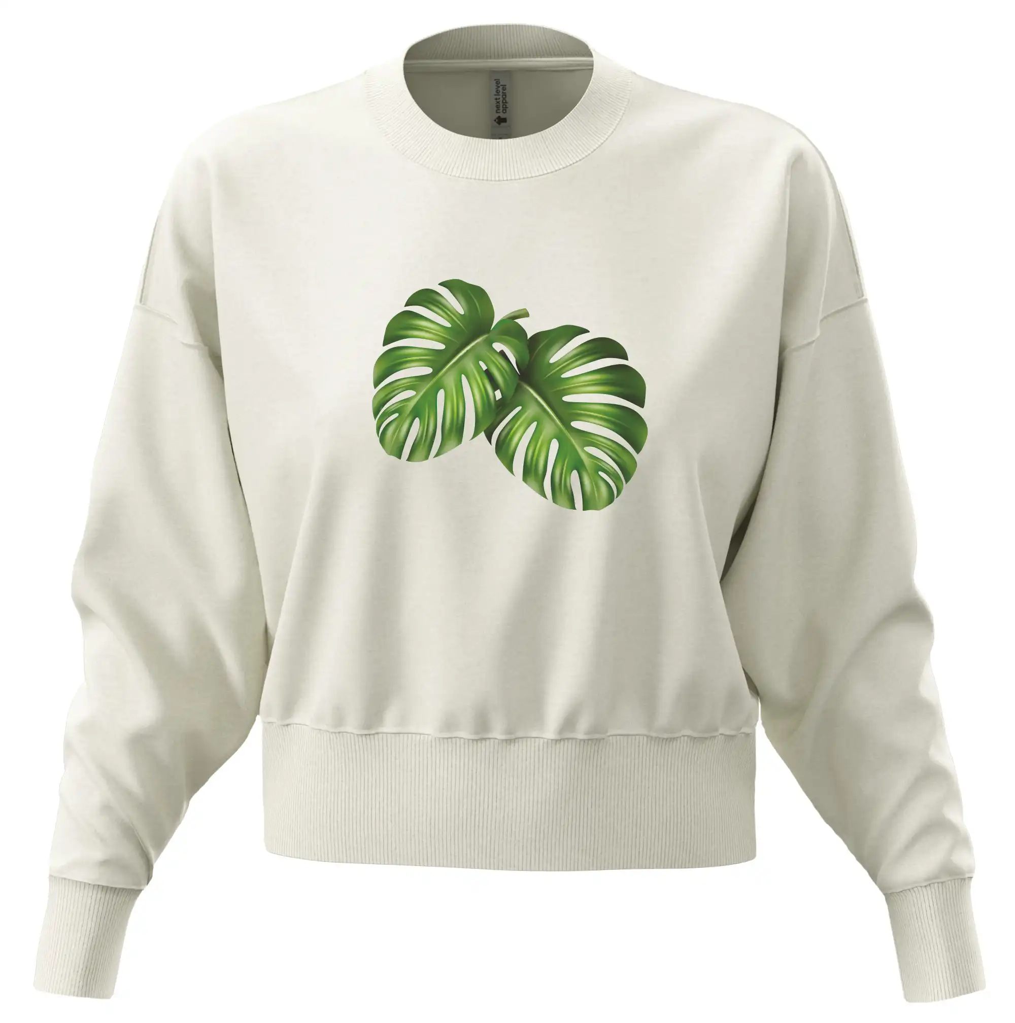 Monstera - dva listy