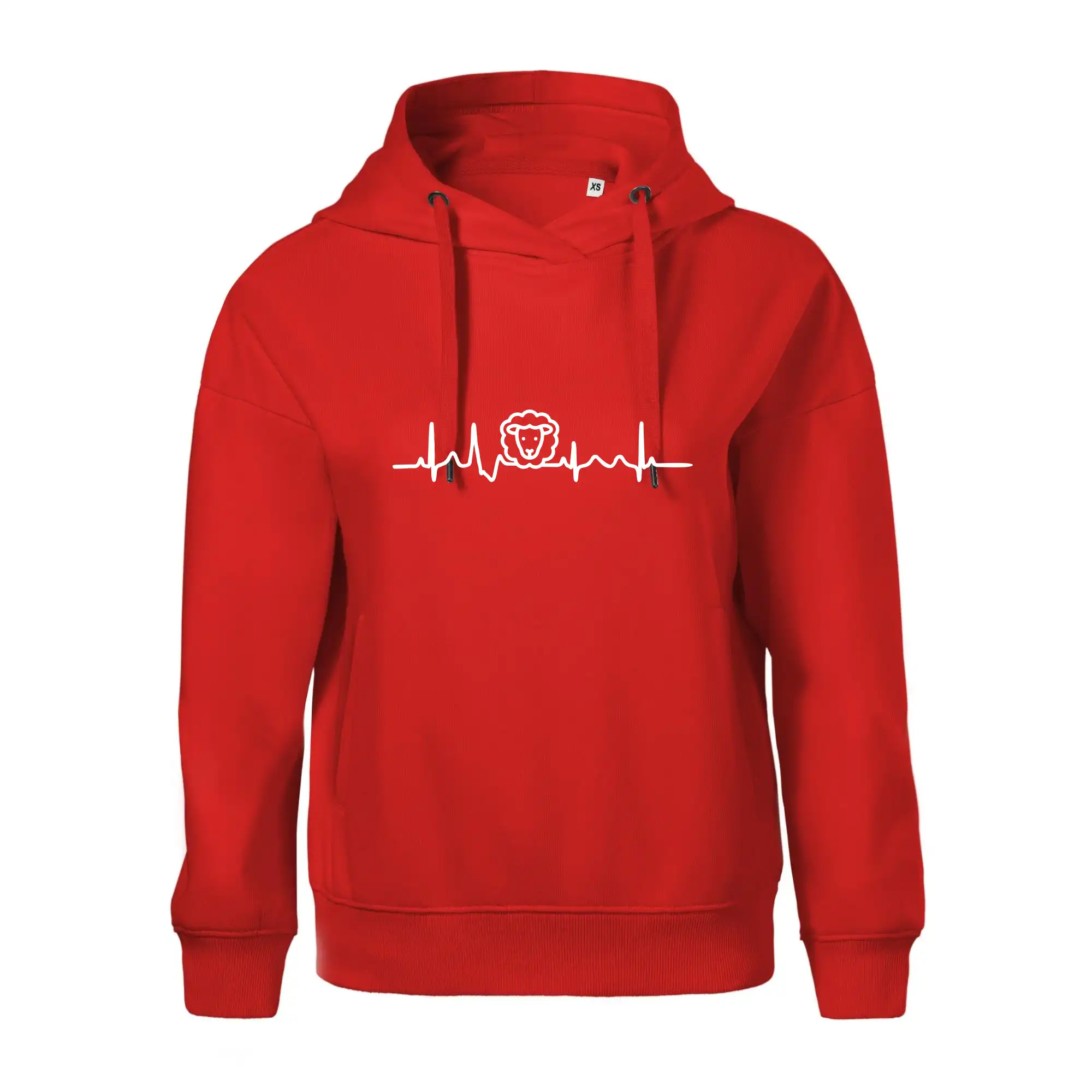 Ekg ovce