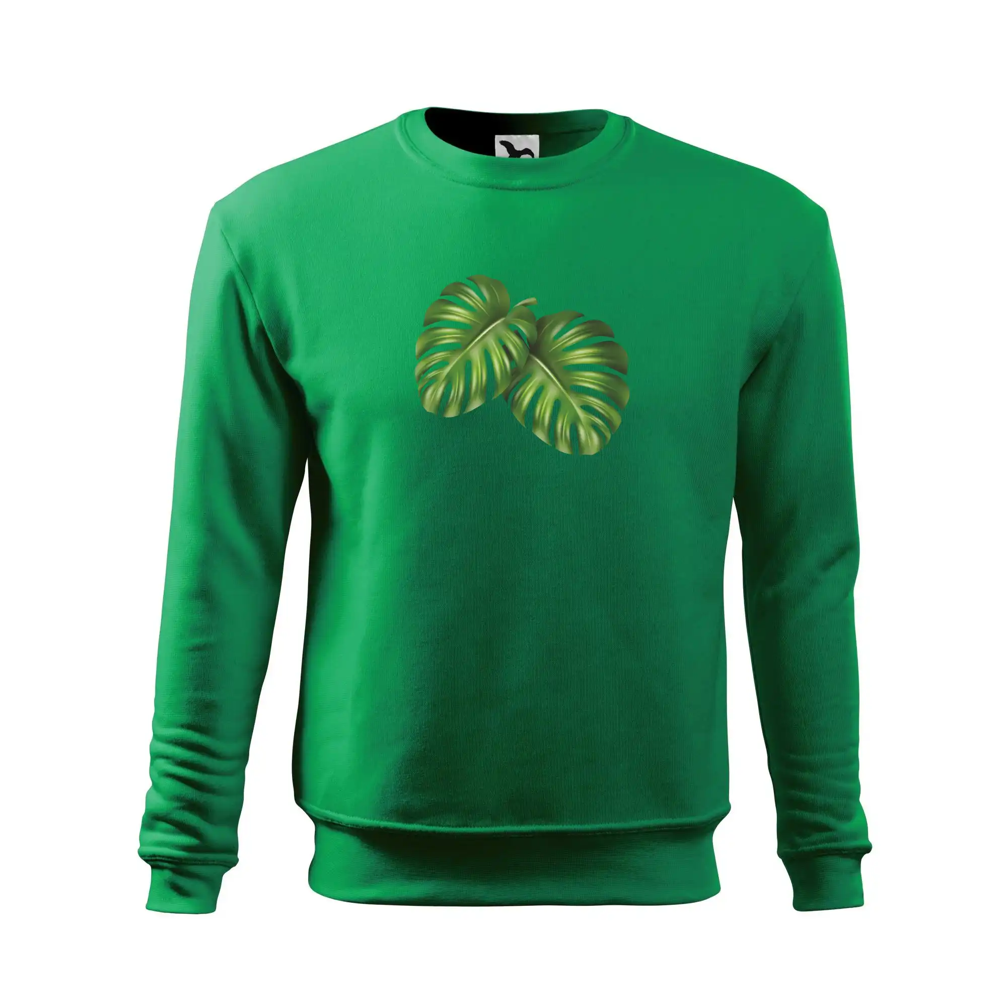Monstera - dva listy