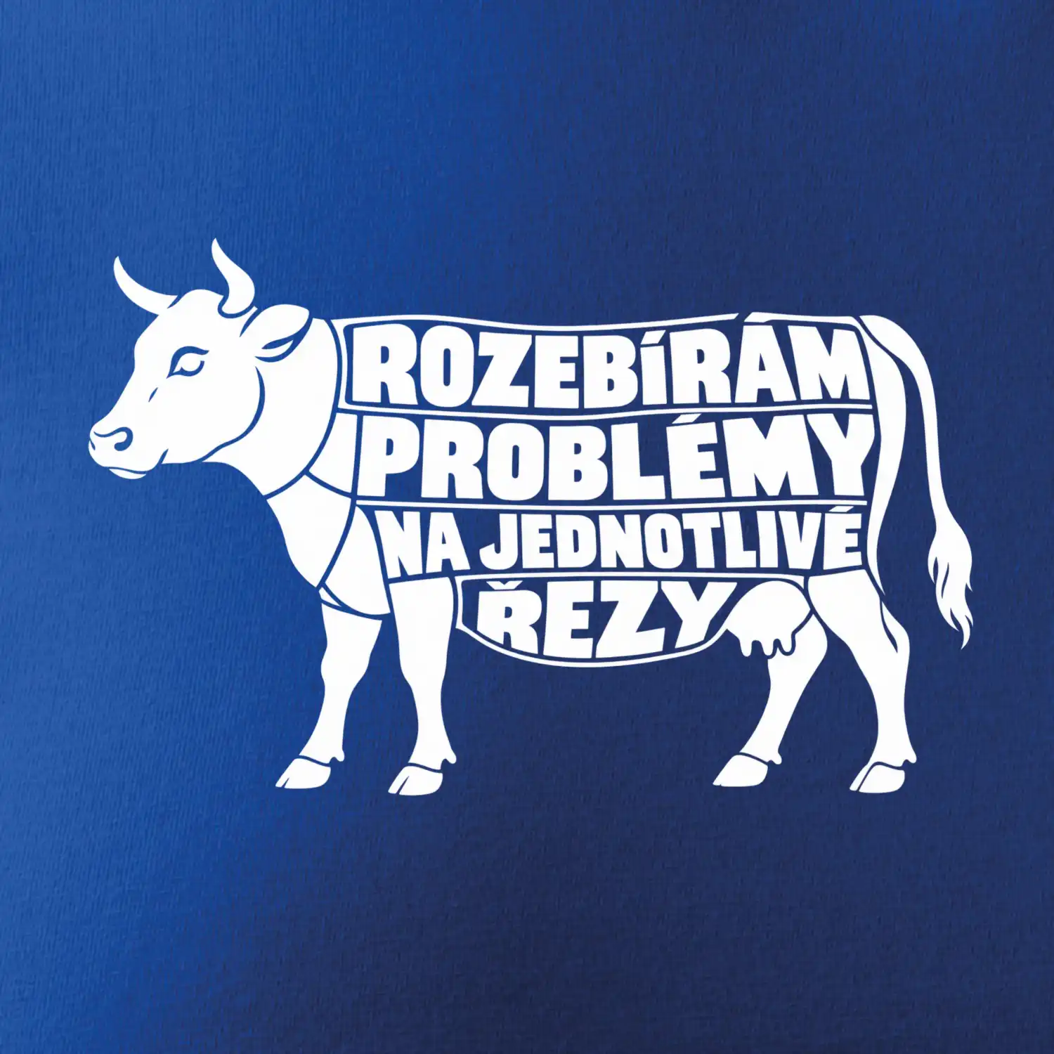 Rozebírám problémy na jednotlivé řezy