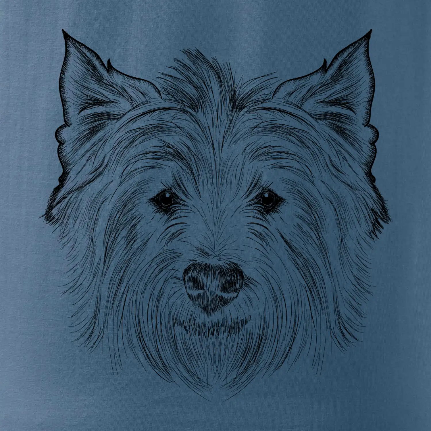 Teriér kresba