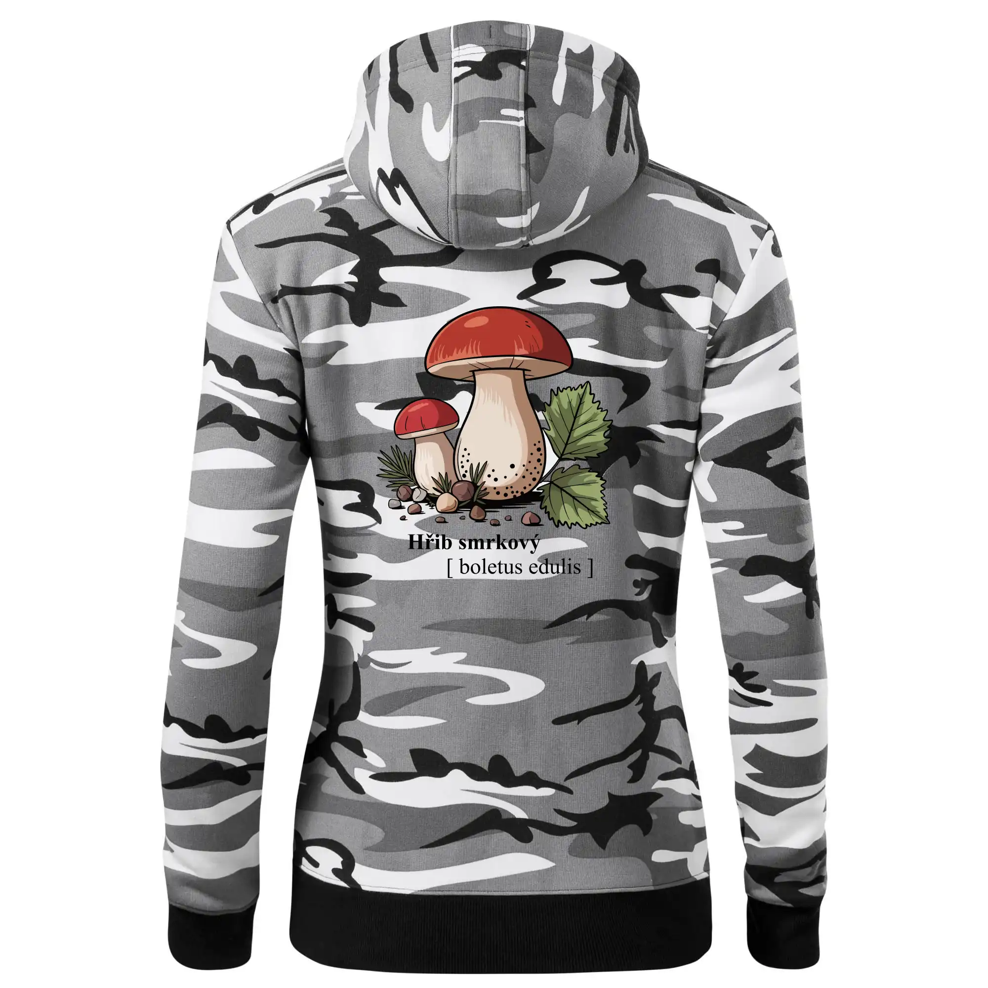 Hřib smrkový - Boletus edulis kreslený