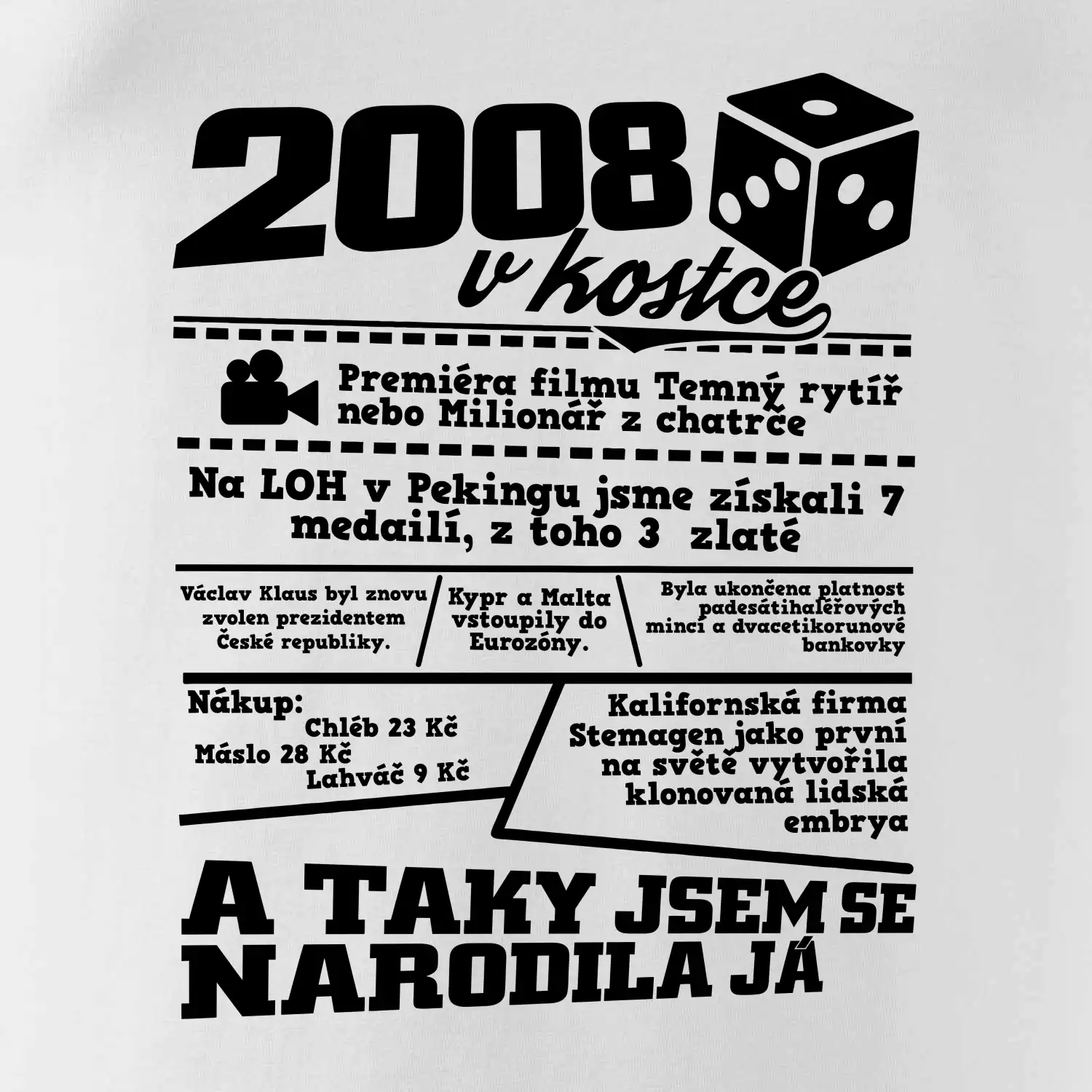 2008 v kostce