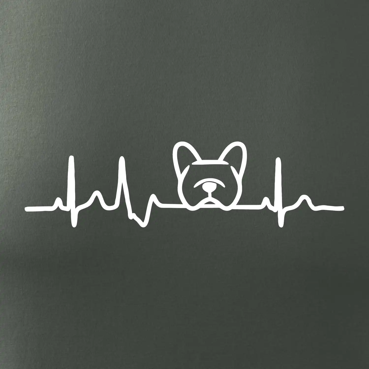 EKG Francouzský buldoček hlava