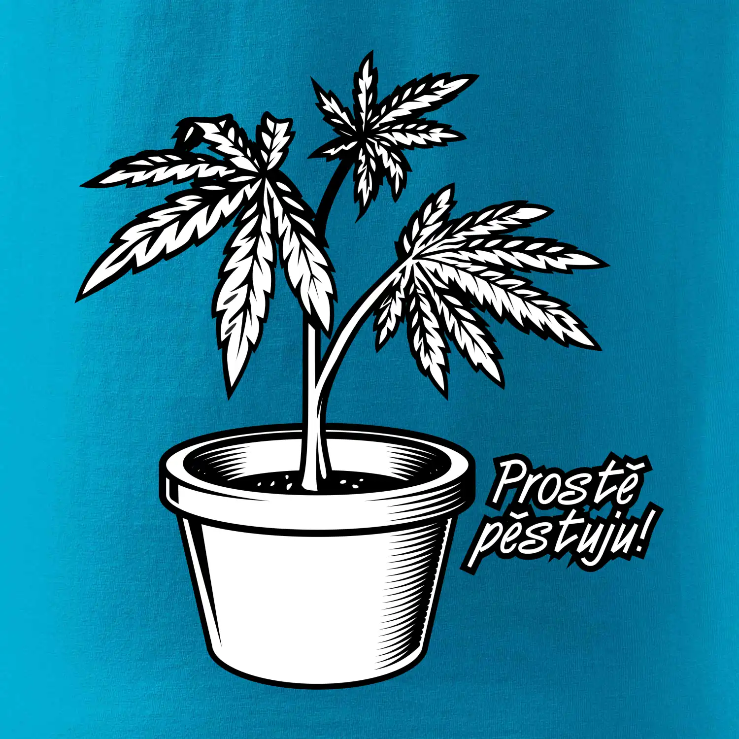 Konopi prostě pěstuju