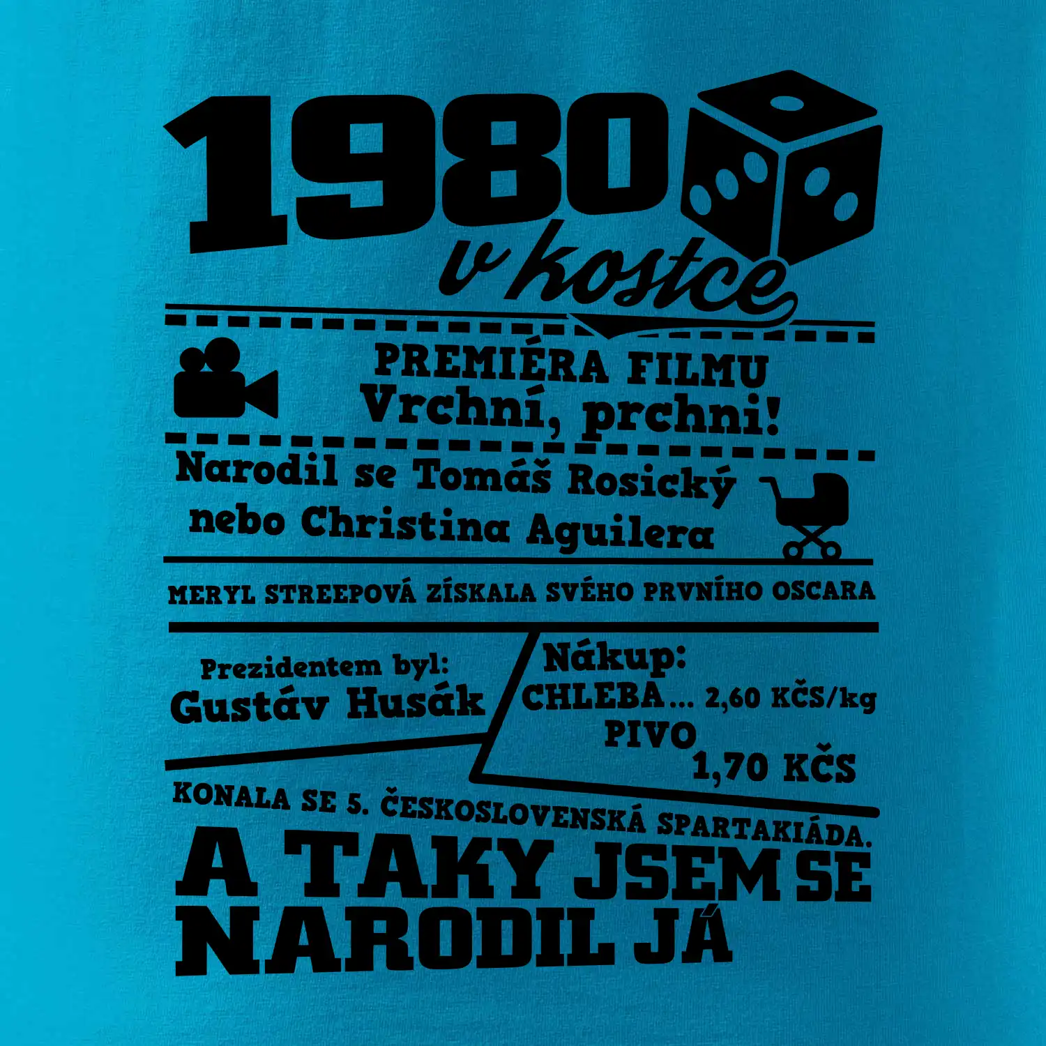 1980 v kostce