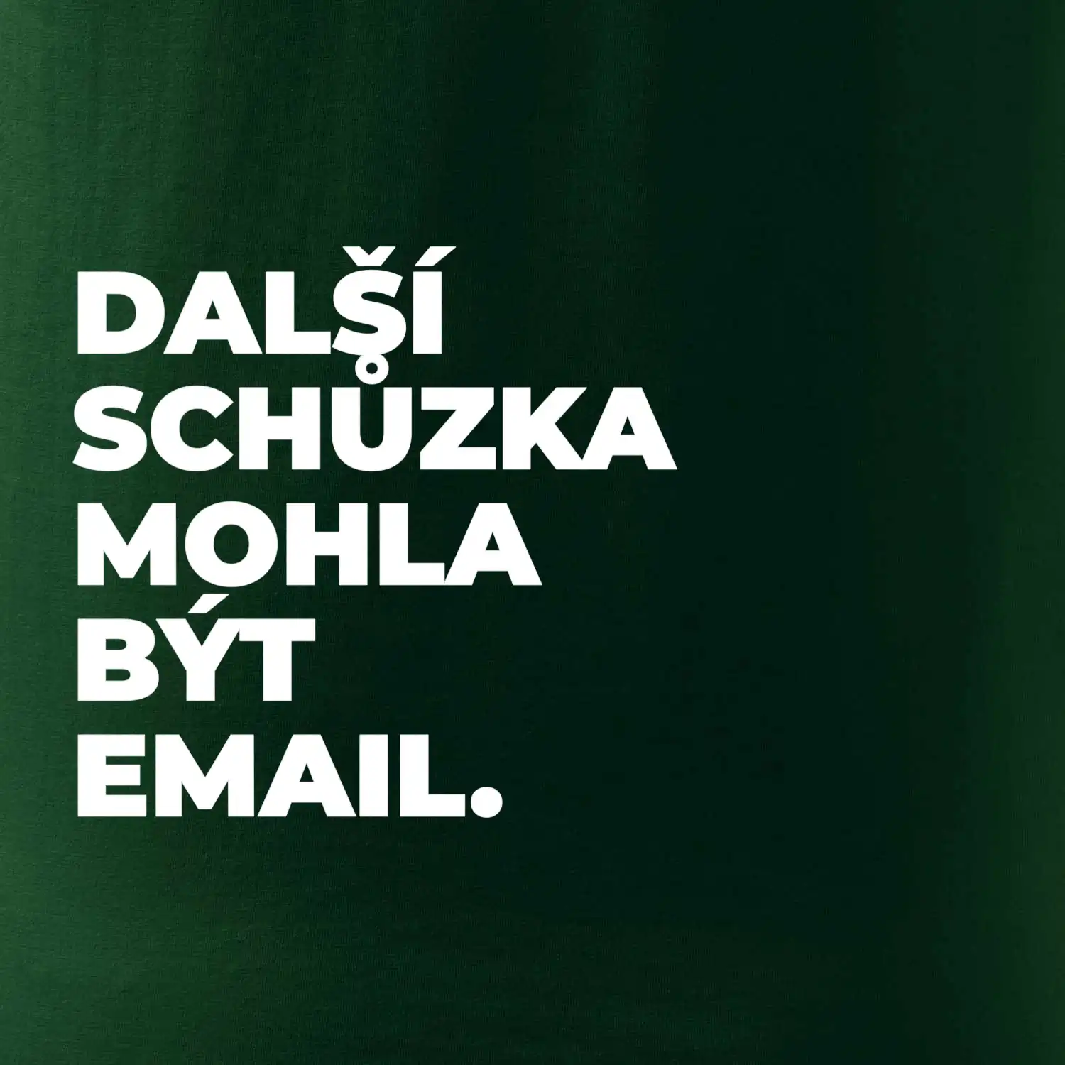 DALŠÍ SCHŮZKA MOHLA BÝT EMAIL.