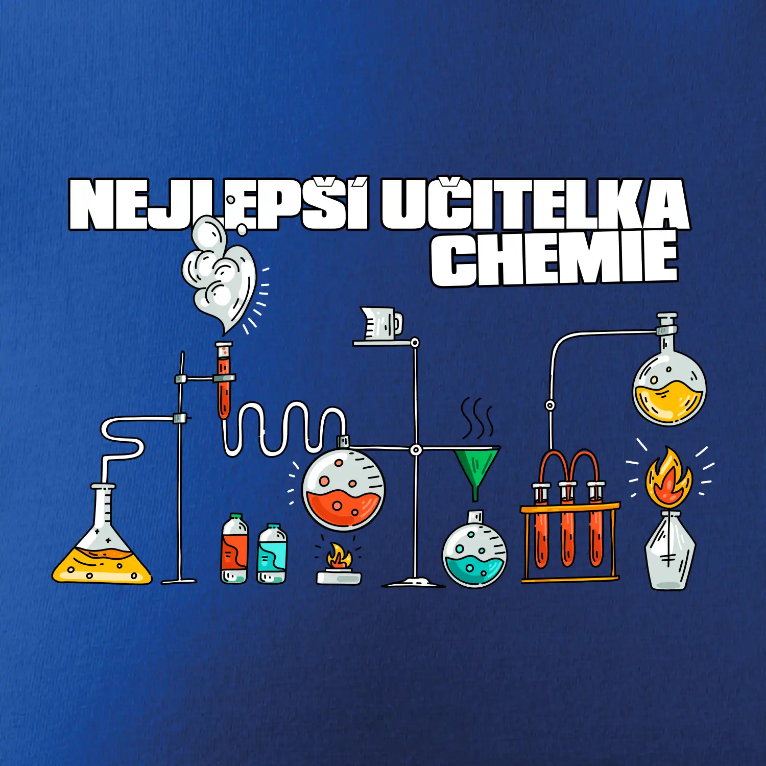Nejlepší učitelka chemie