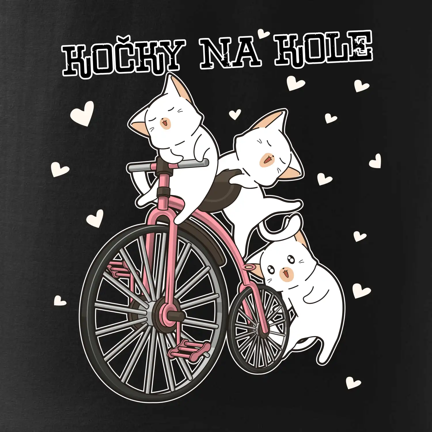 Kočky na kole