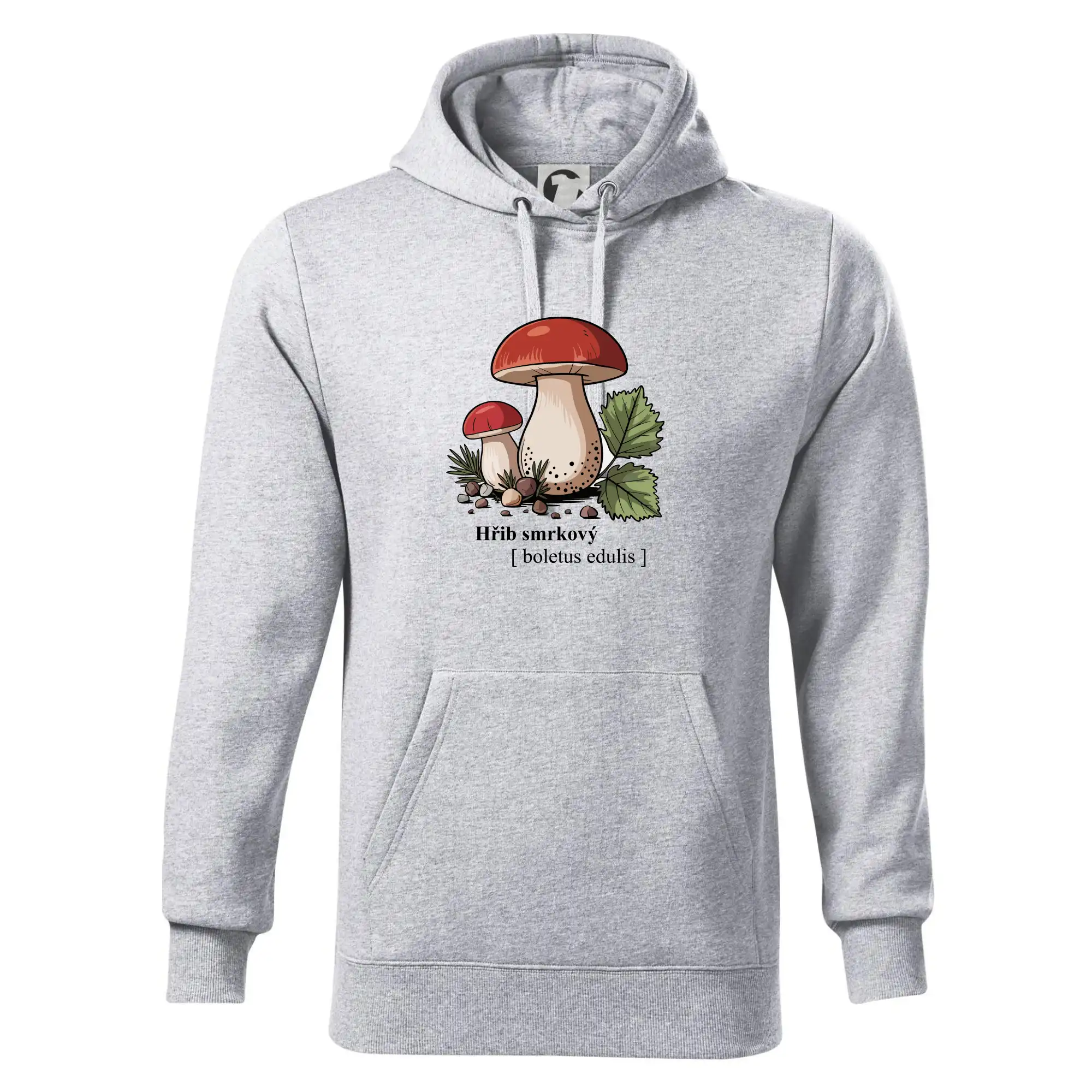 Hřib smrkový - Boletus edulis kreslený